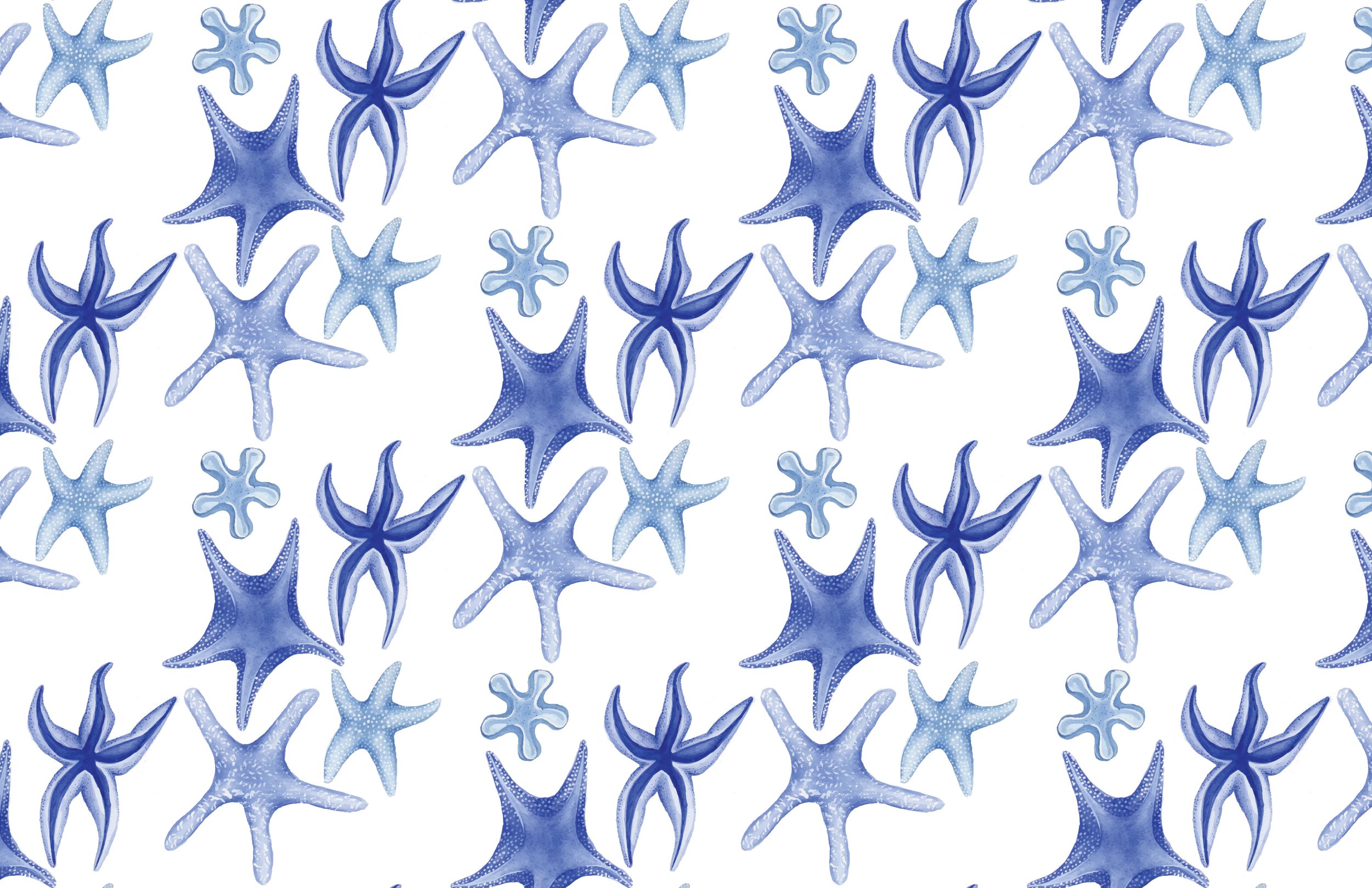 starfishies.jpg