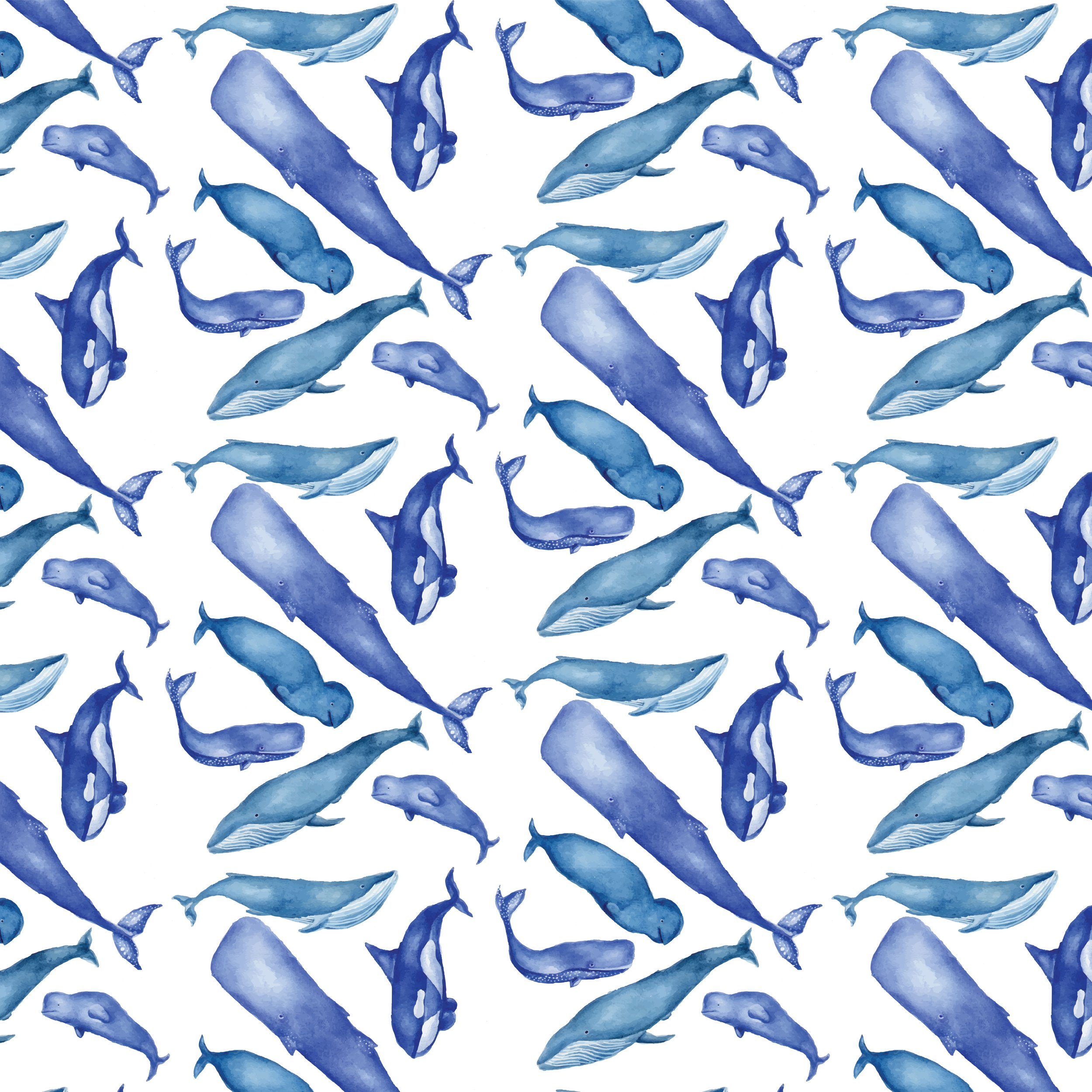 large whales.jpg