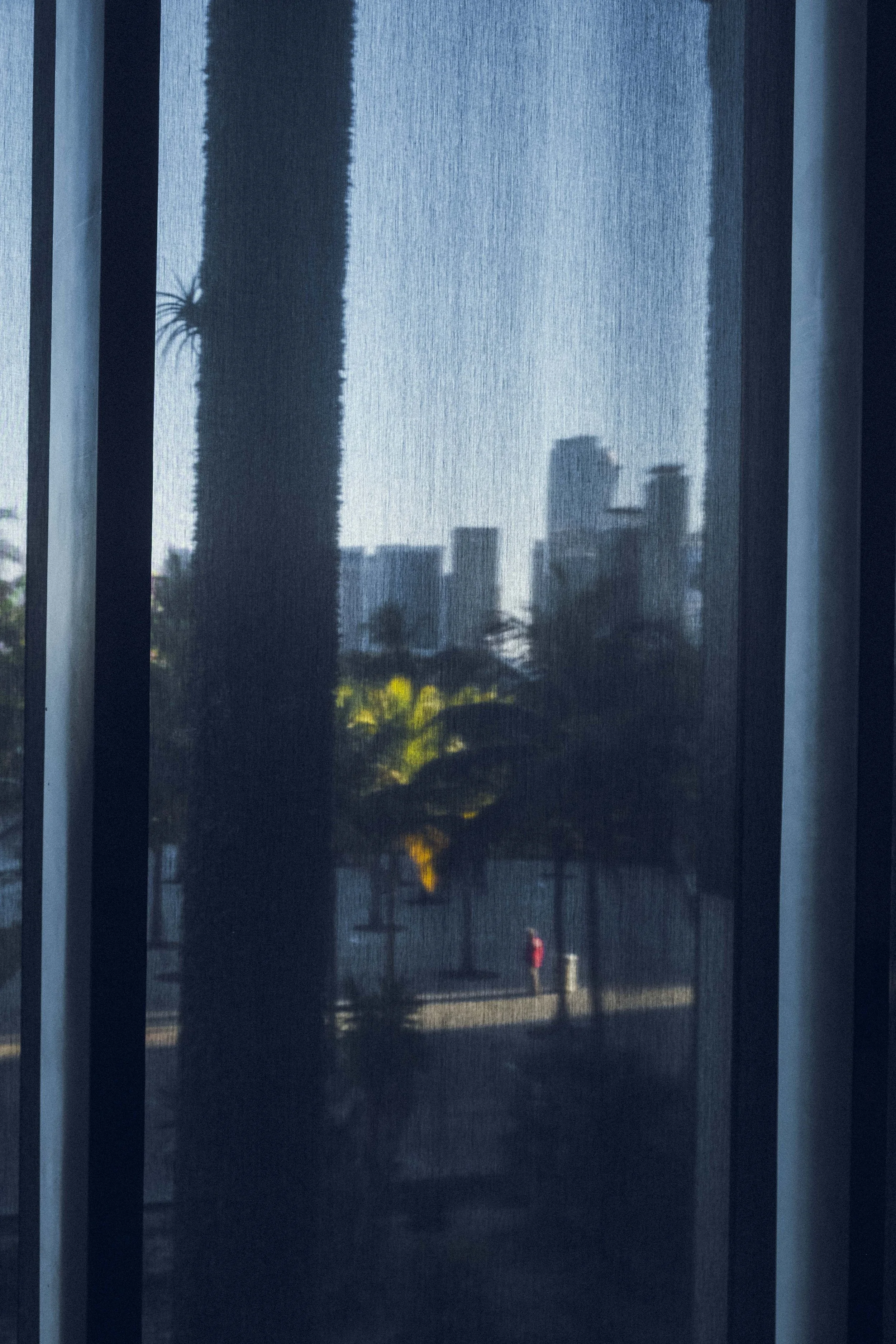 _DSF9202.jpg