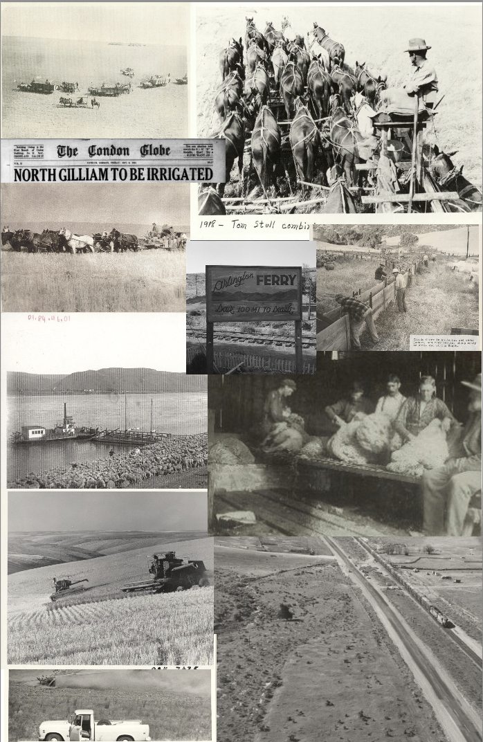 Screenshot 2026-03-14 at 11.50.55 AM.png