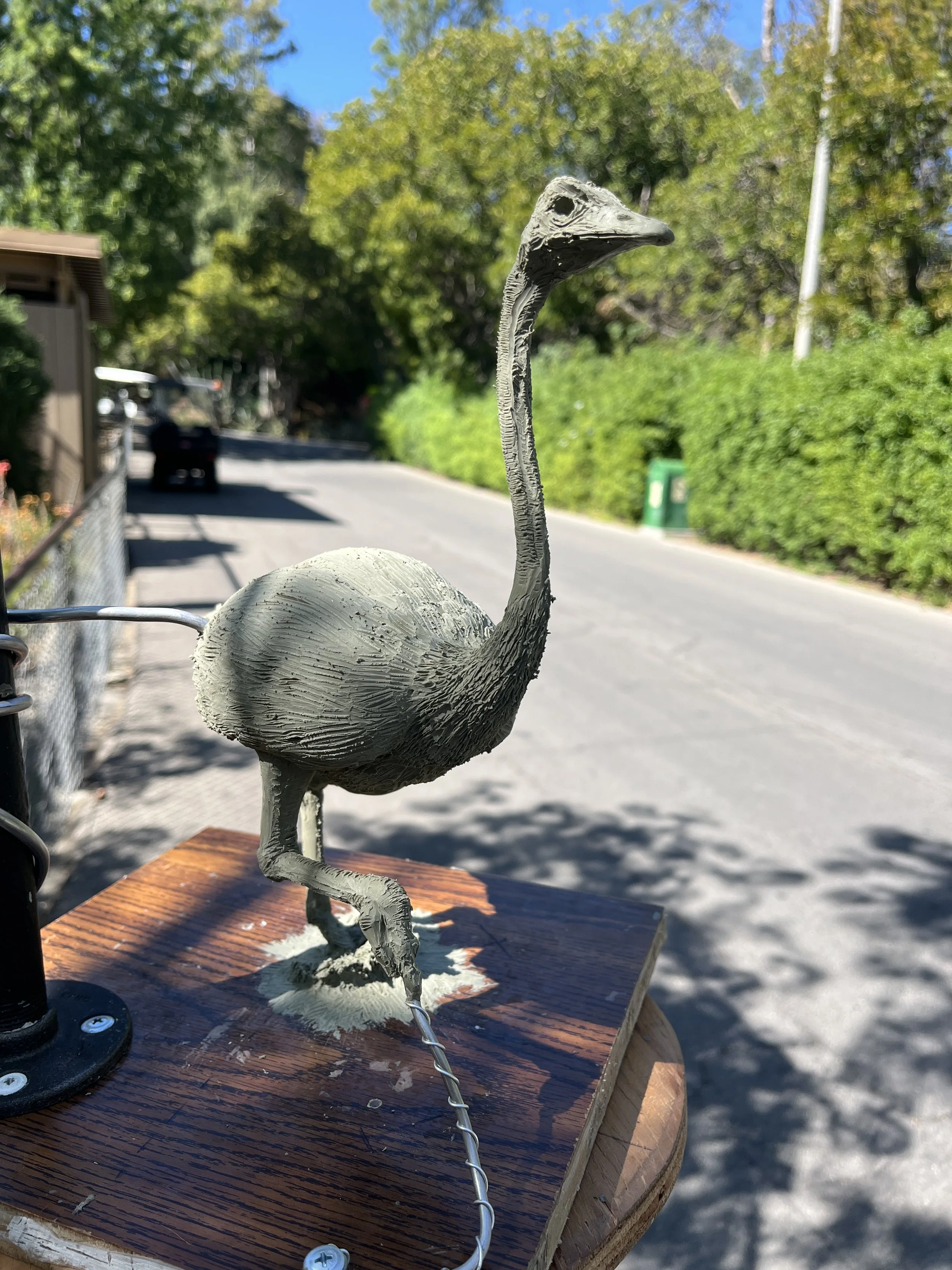 John Sumner sculpture of an ostrich