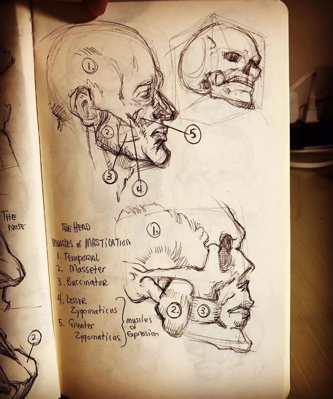 SKETCHBOOK