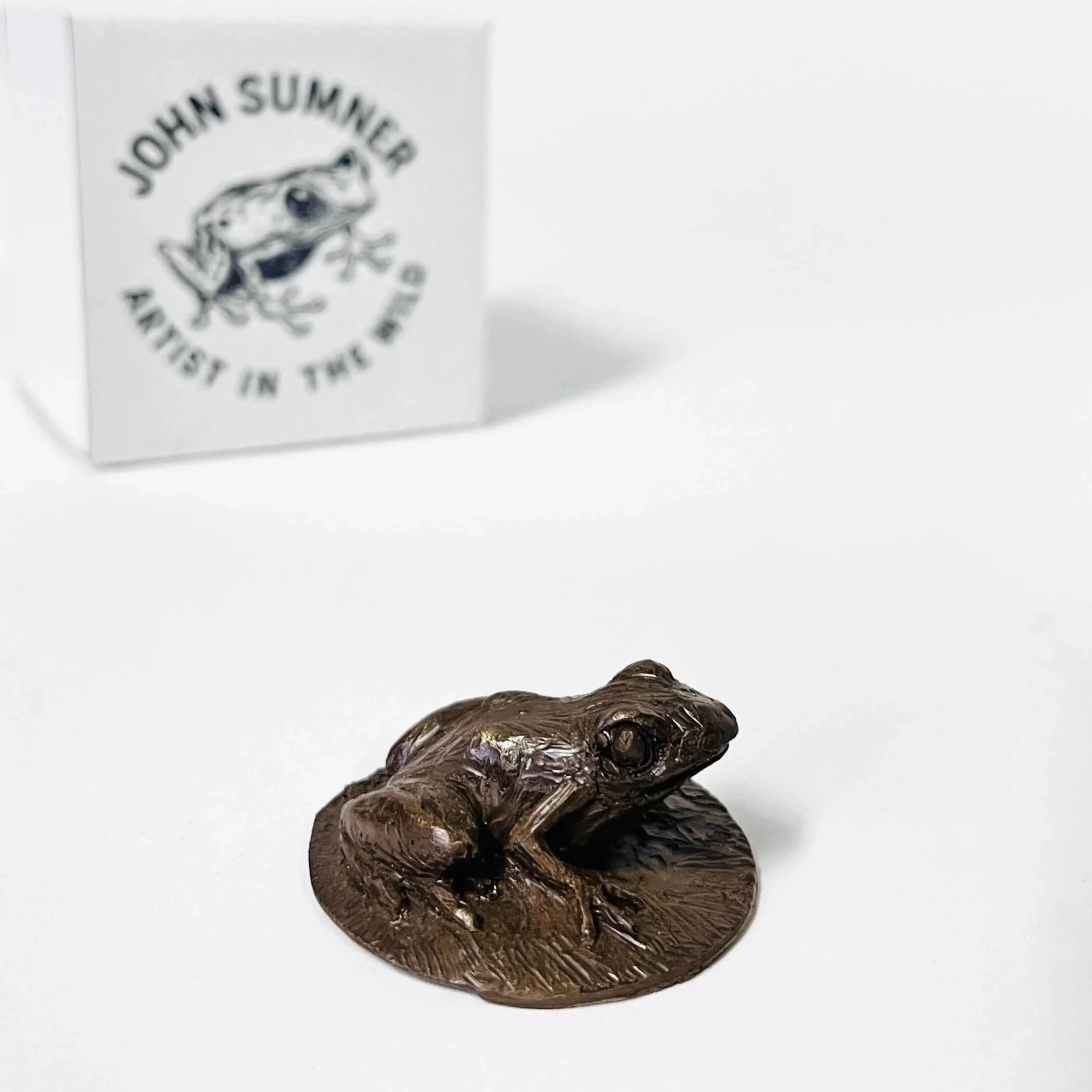 Poison Dart Frog | Cold Cast Bronze