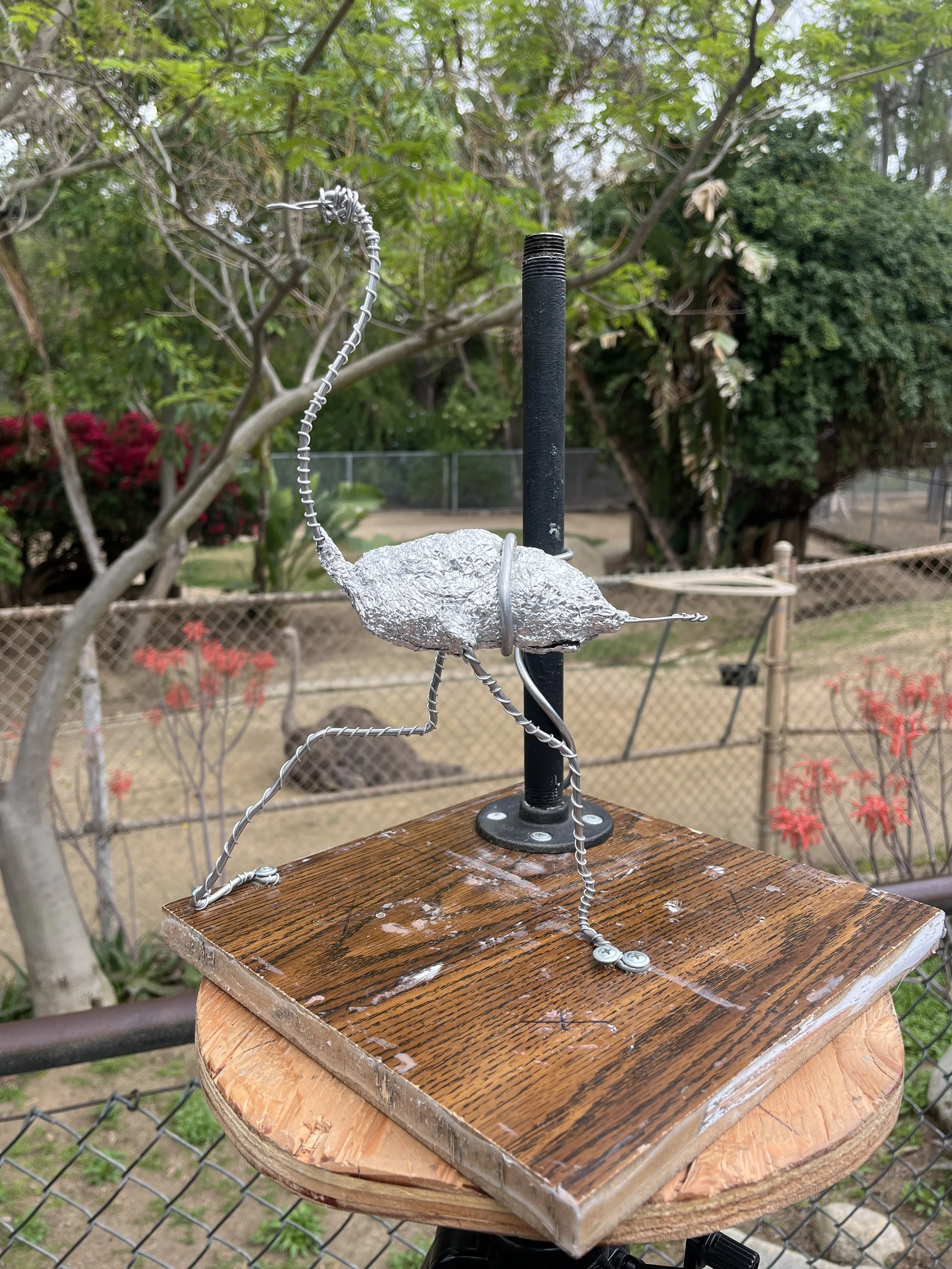 John Sumner sculpture of an ostrich