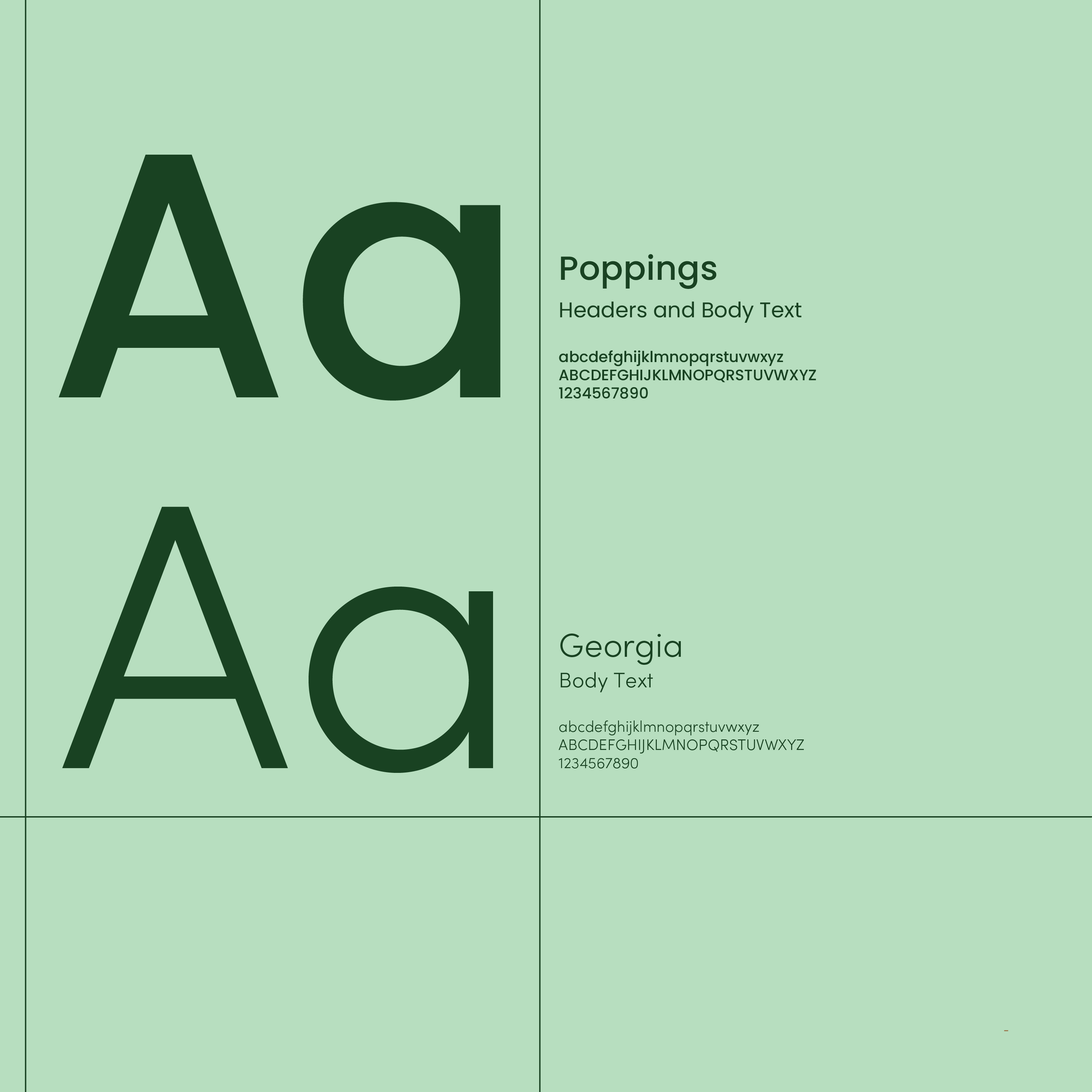 Alter Eco Guideline2.png