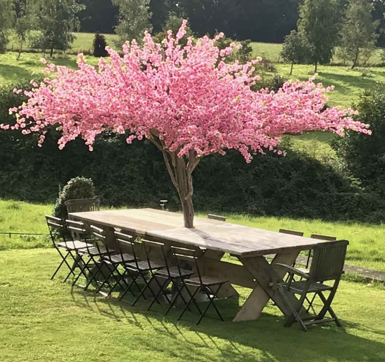 Made by Marcus Blossom Tree  Parasols dining table.png