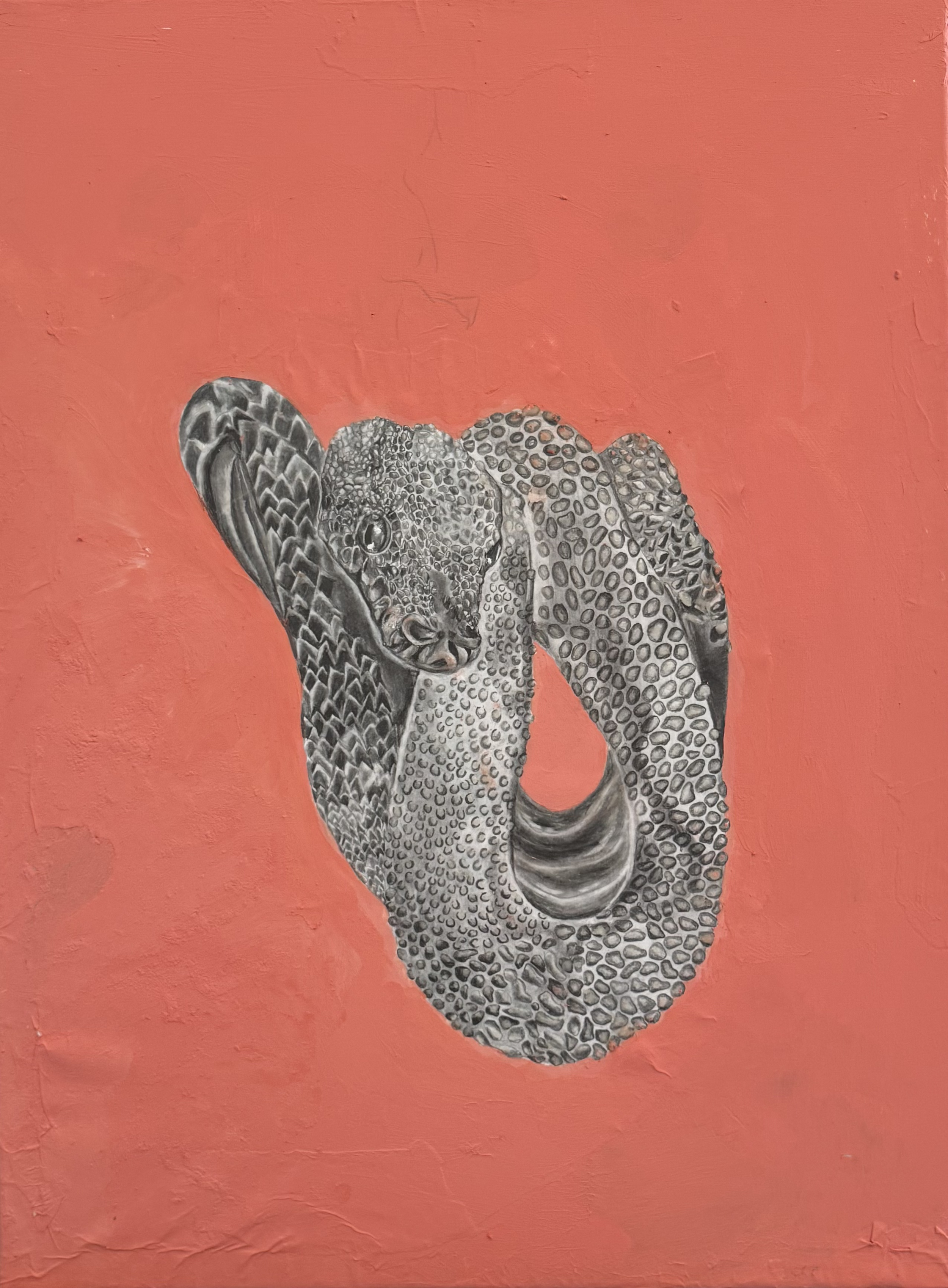 "Rattle,"
Graphite pencil, acrylic, acrylic clear texture on canvas,
July, 2025.