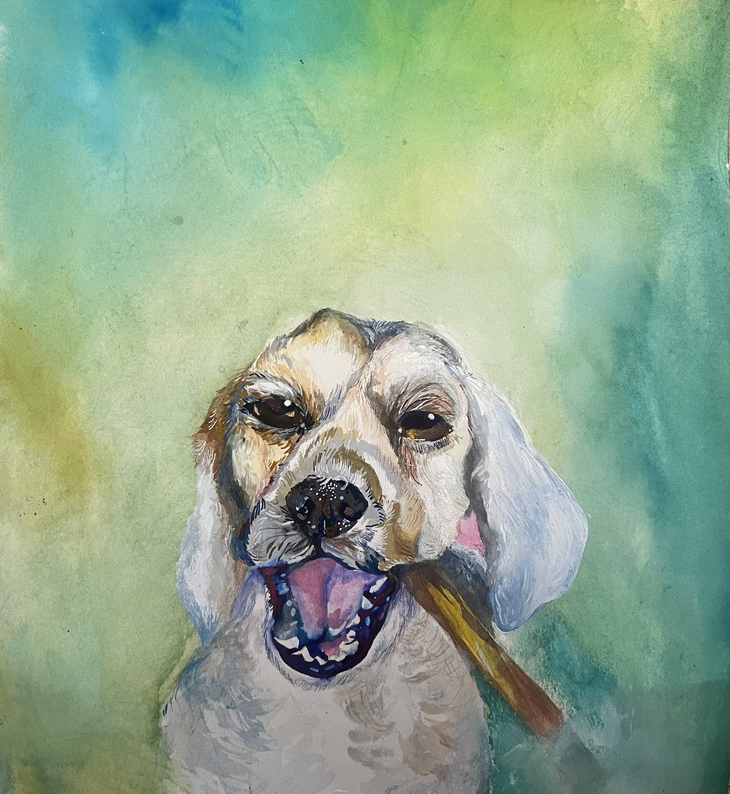 Dog Portrait,
Watercolor on Watercolor paper, SOLD,
December, 2025.