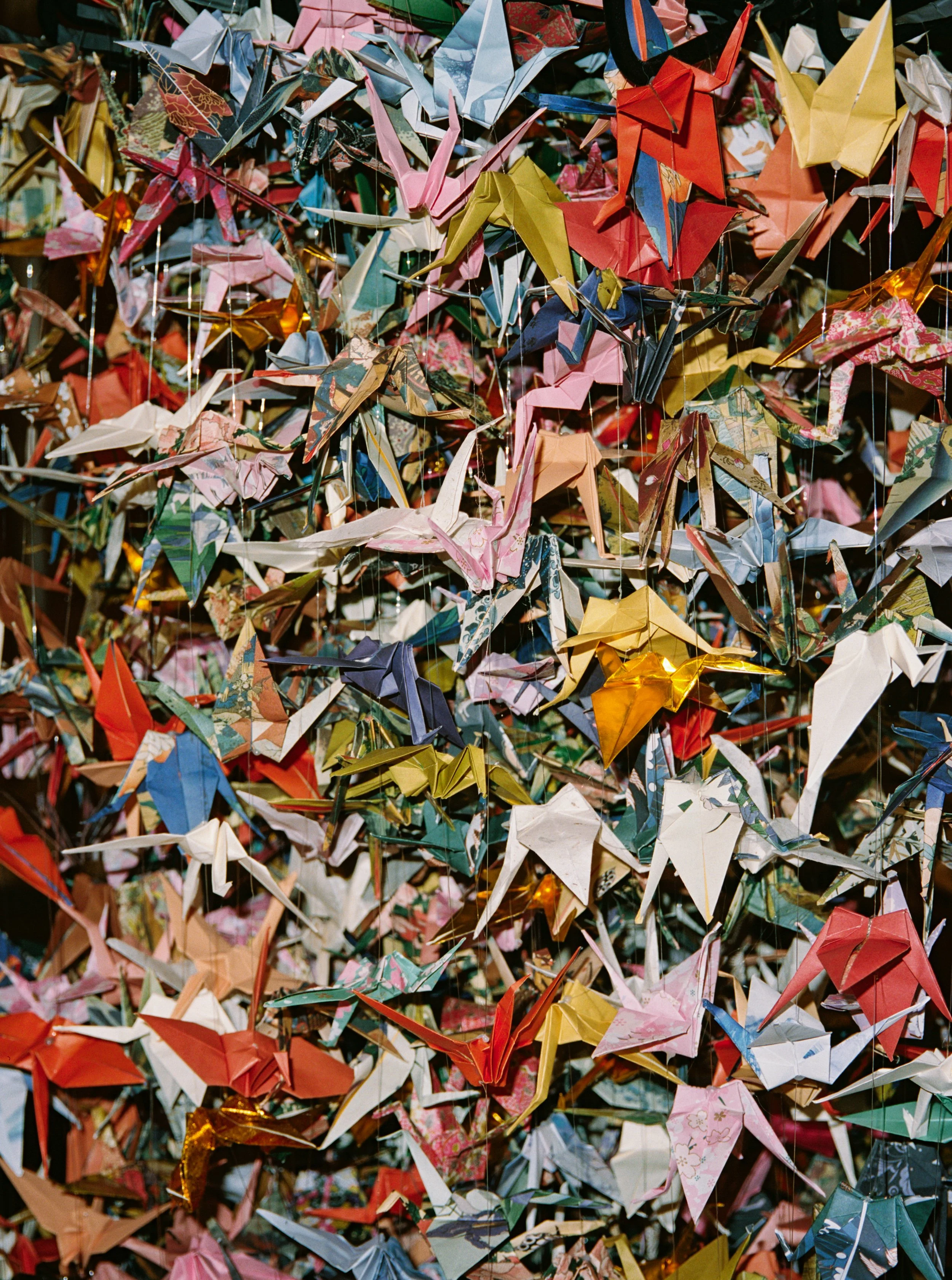 A large display of numerous colorful origami paper cranes hanging closely together.
