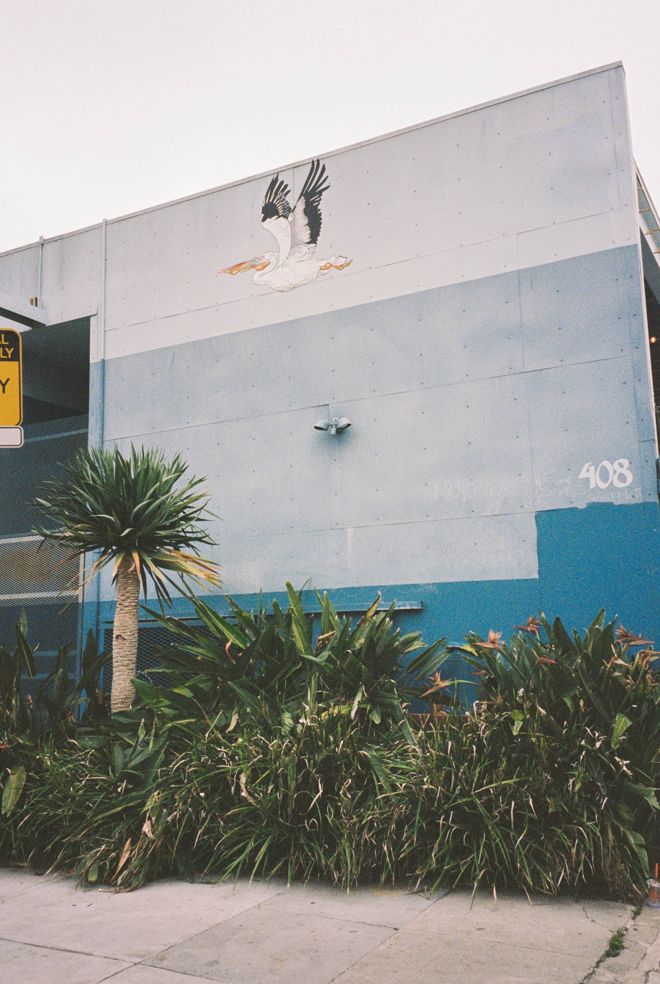 Building with a painted pelican holding a fish in its beak, surrounded by greenery and plants in the foreground.