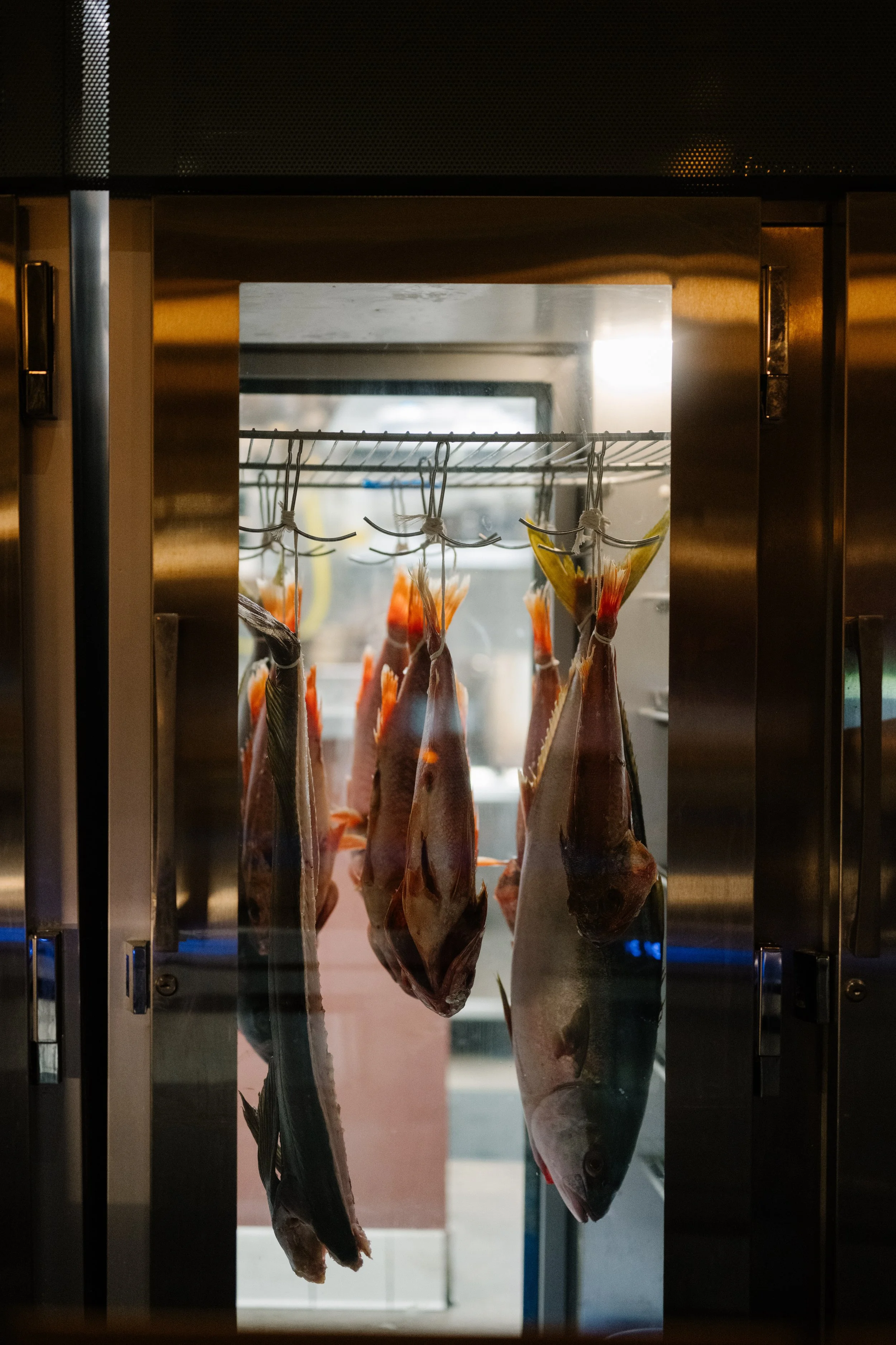 Fish hanging on hooks inside a glass display case.
