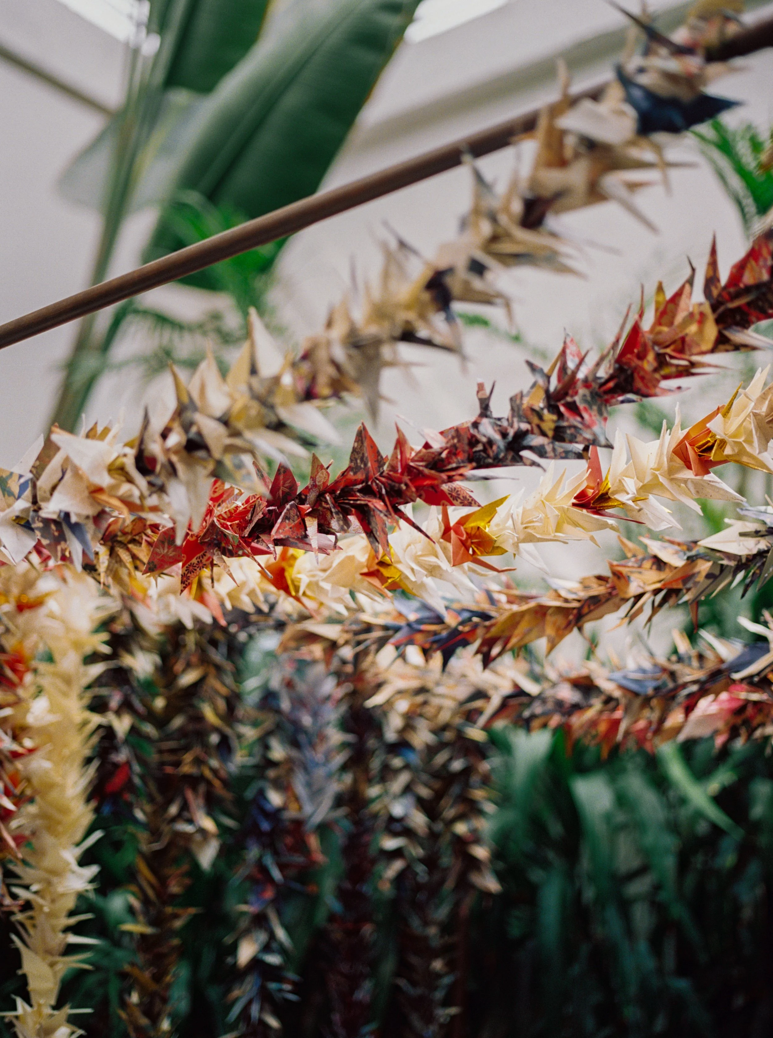 Colorful paper origami cranes hanging in rows amid green plants.