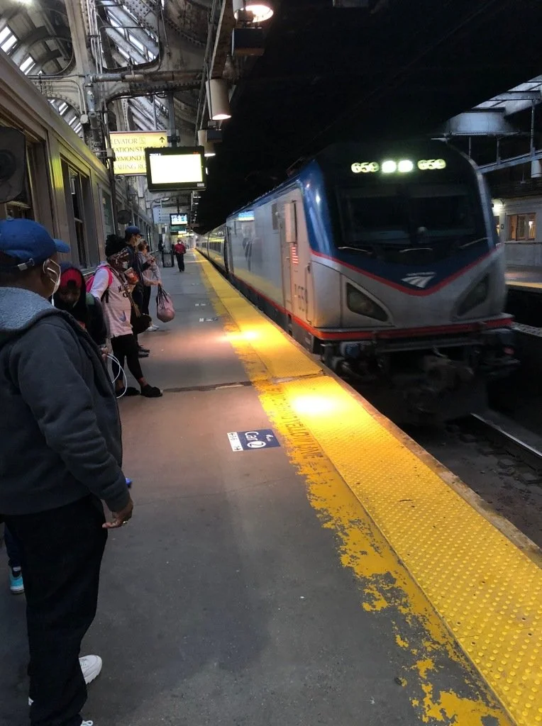 Cardinal approaching.jpeg