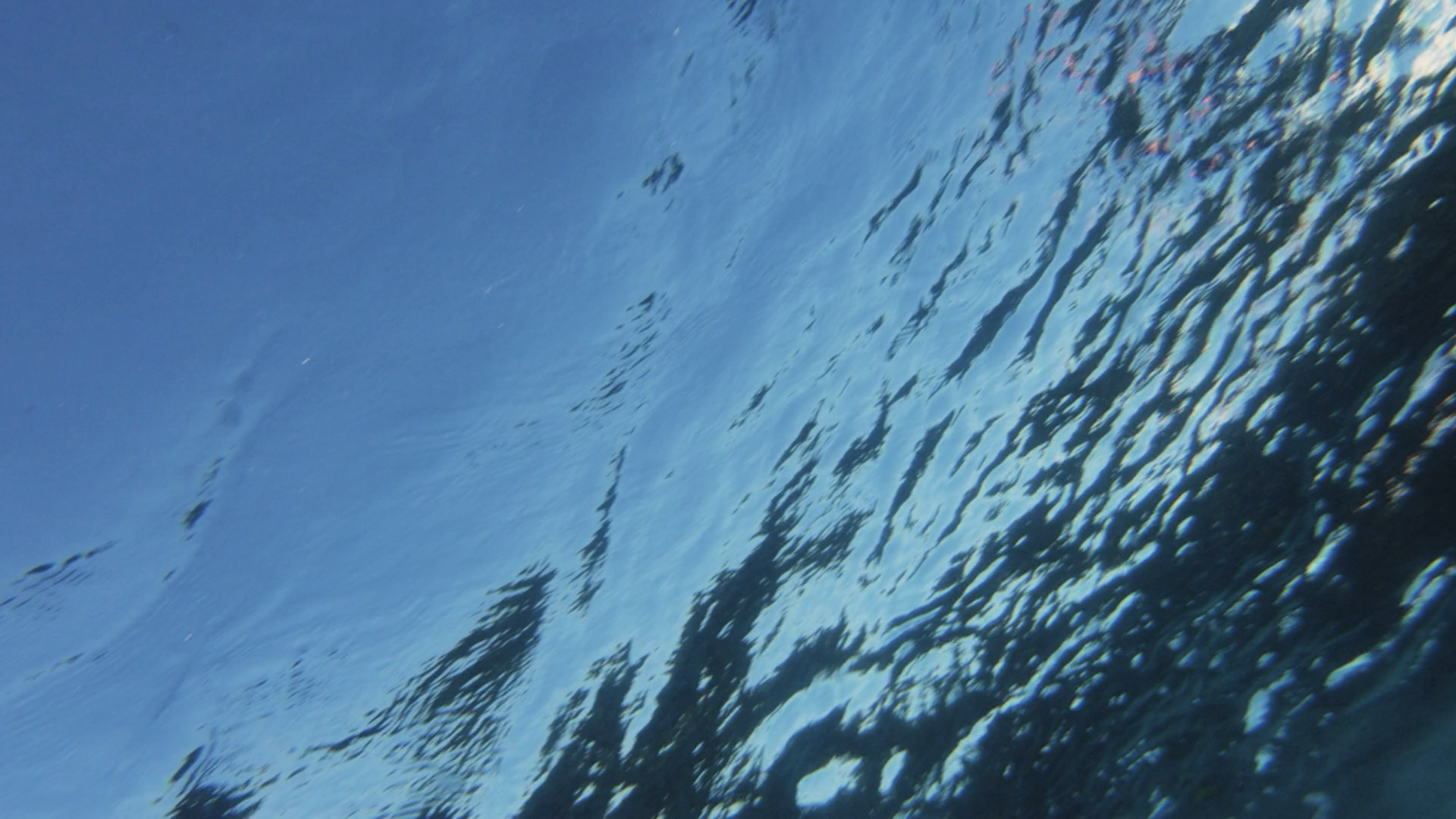 HLM Video Frame 1 Mar 2026.png