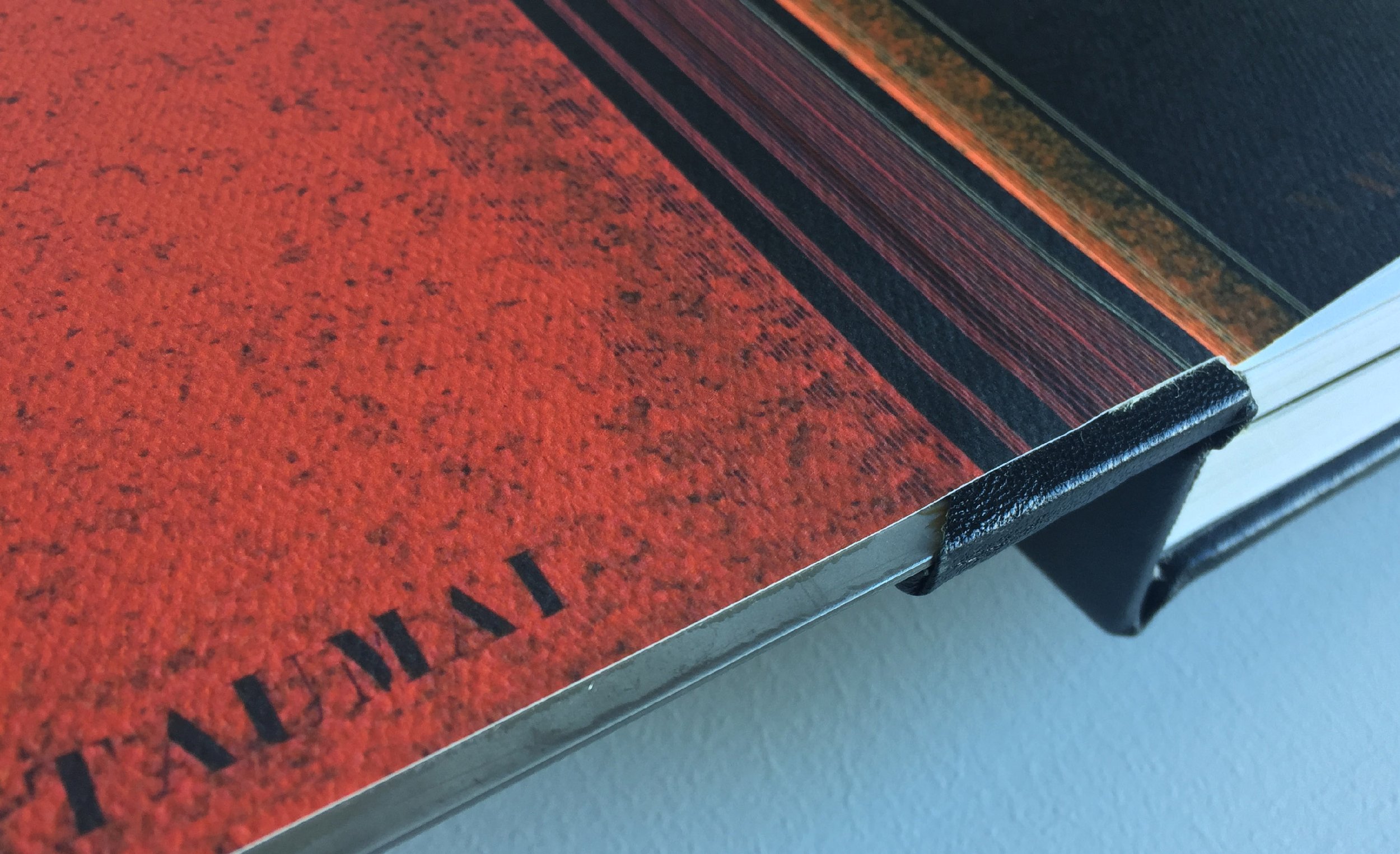 Hotere Limited Edition Collectors Book David Thompson_9.jpg