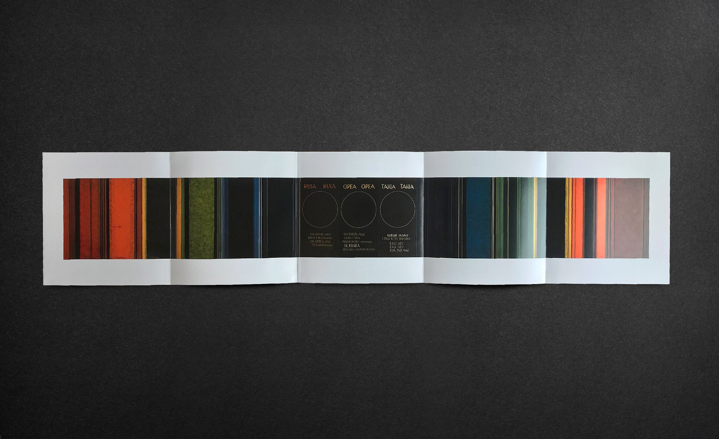 Hotere Limited Edition Collectors Book David Thompson_5.jpg