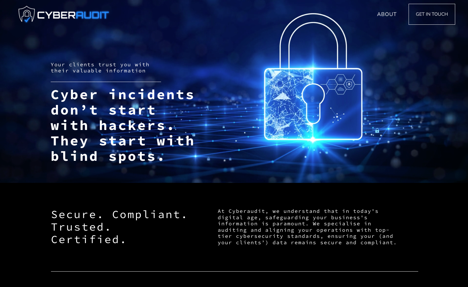 https://cyberaudit.nz/