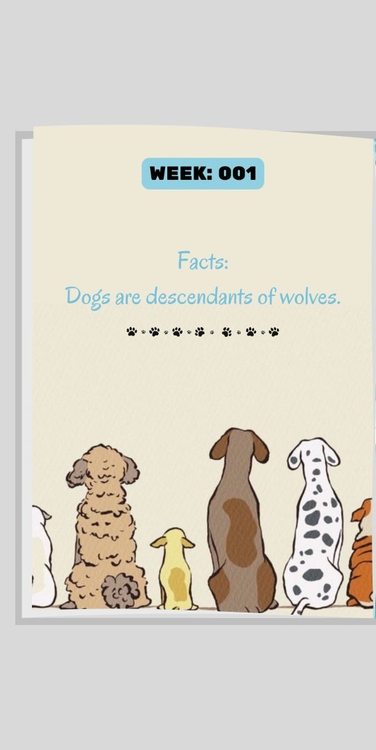 Dog Days Diary Daily Planner - A charming daily planner adorned with dog illustrations, designed to help you organize tasks and set goals while celebrating your love for dogs.