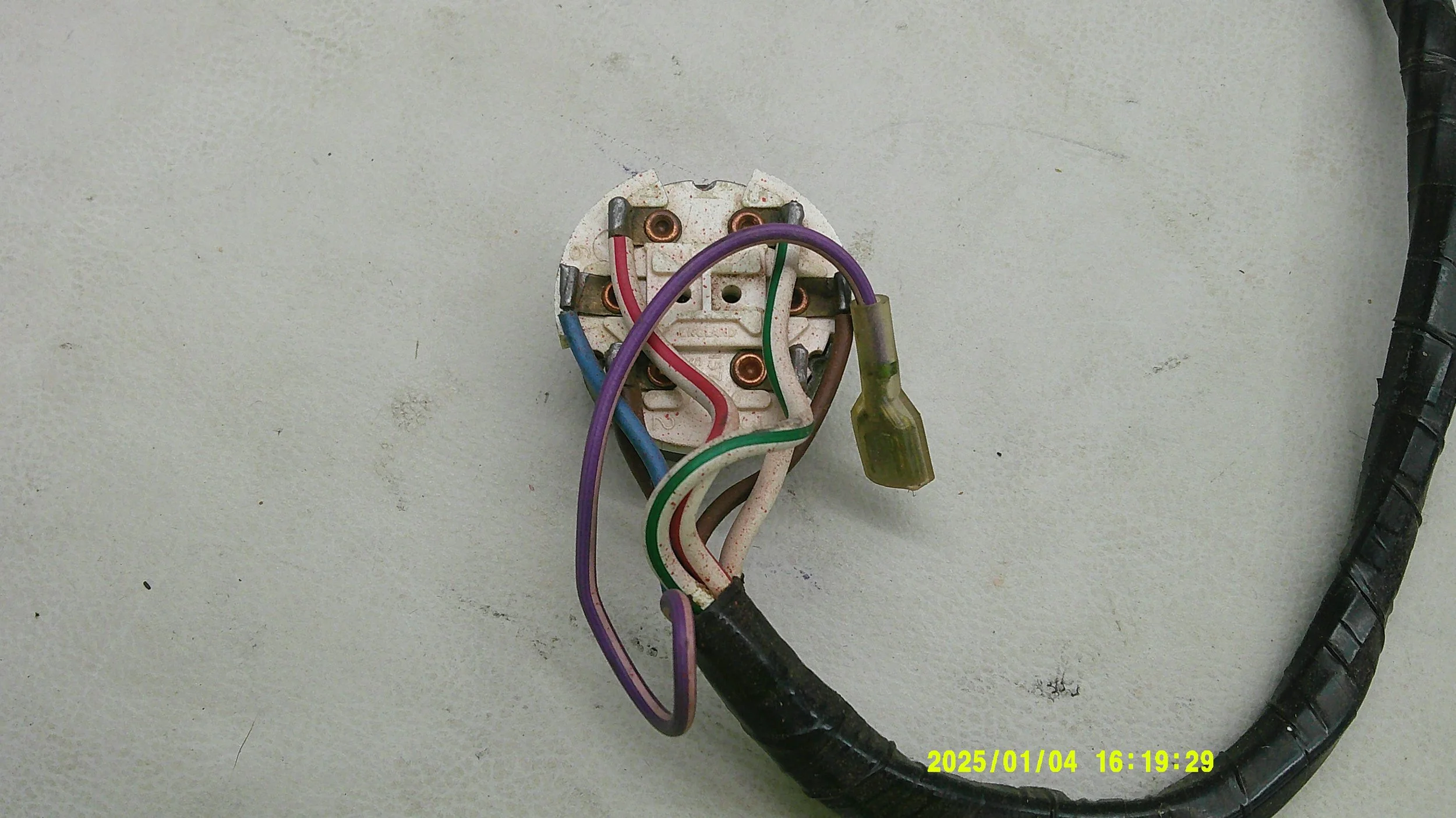 DSCF0596.JPG