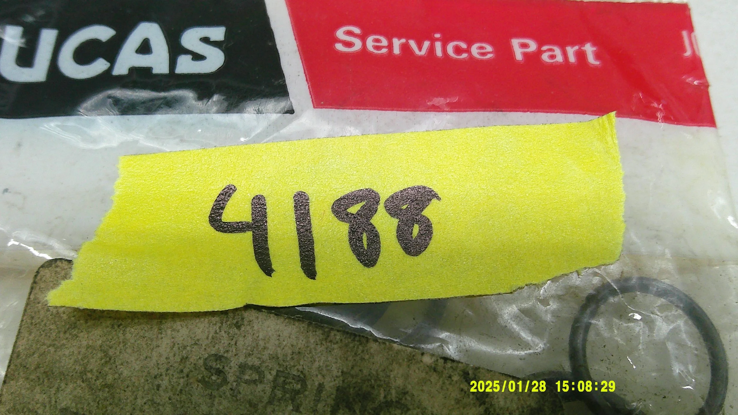 DSCF0731.JPG