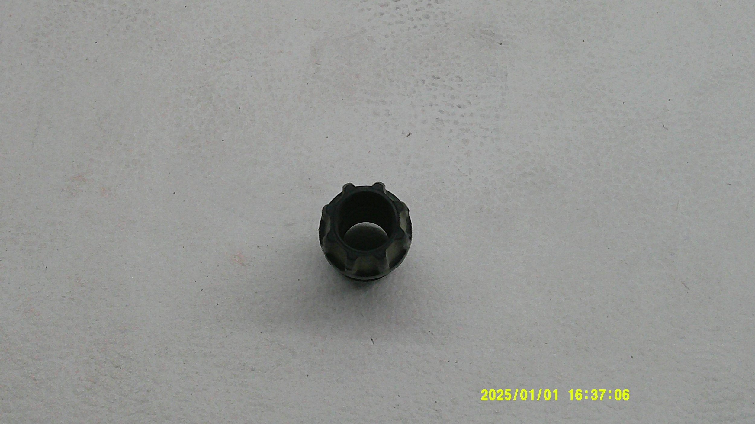 DSCF0900.JPG