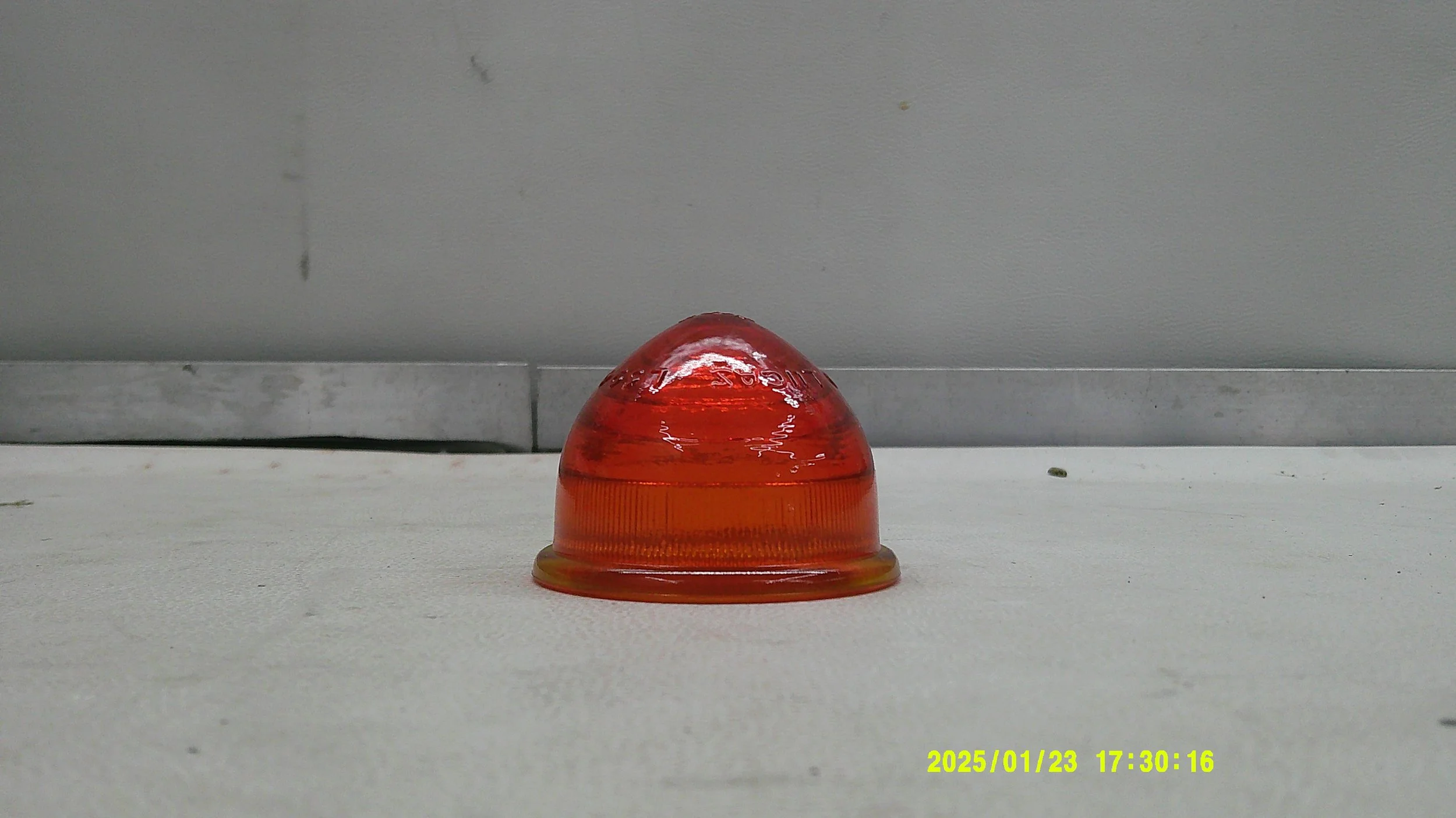 DSCF0552.JPG
