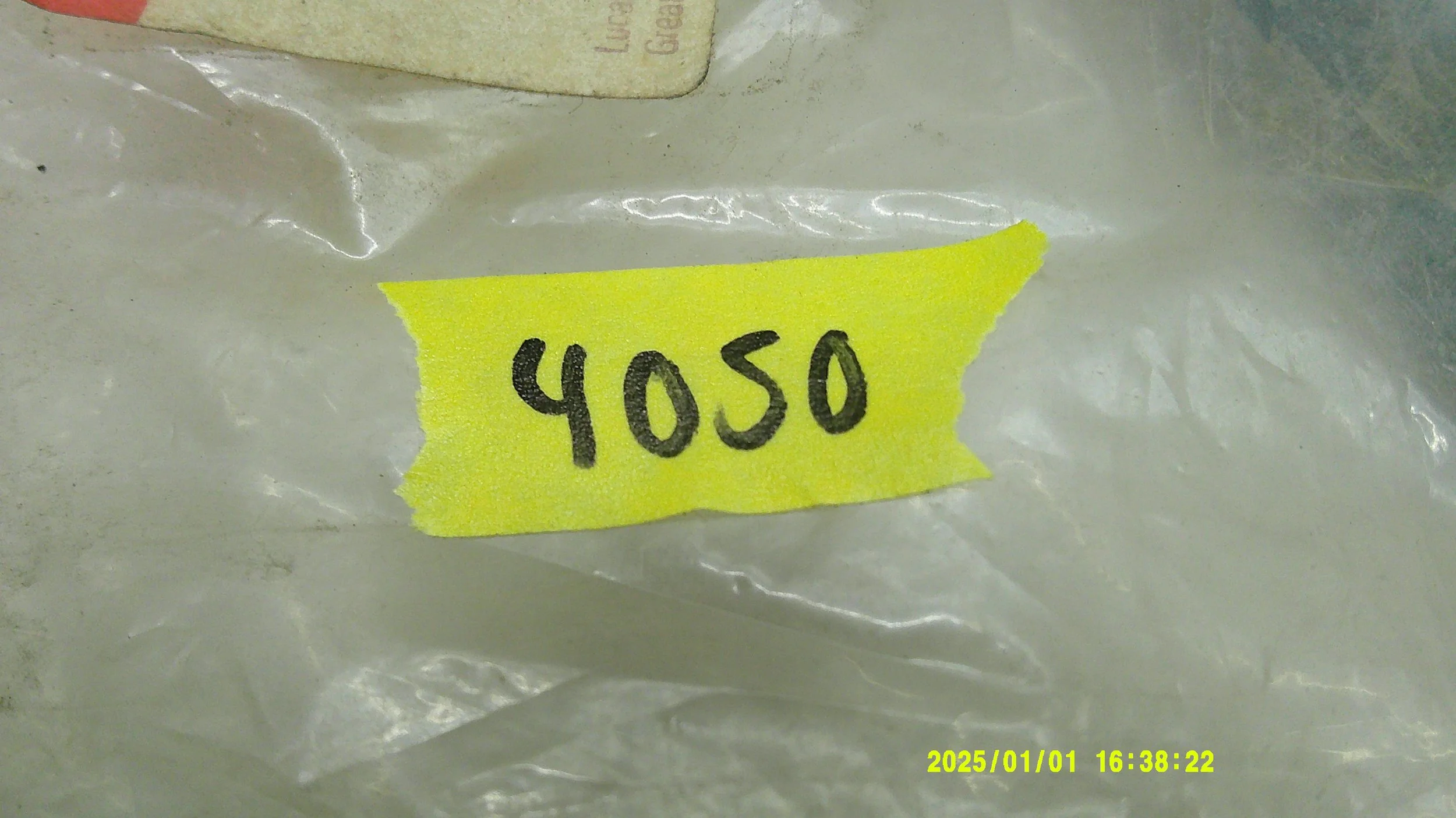 DSCF0901.JPG