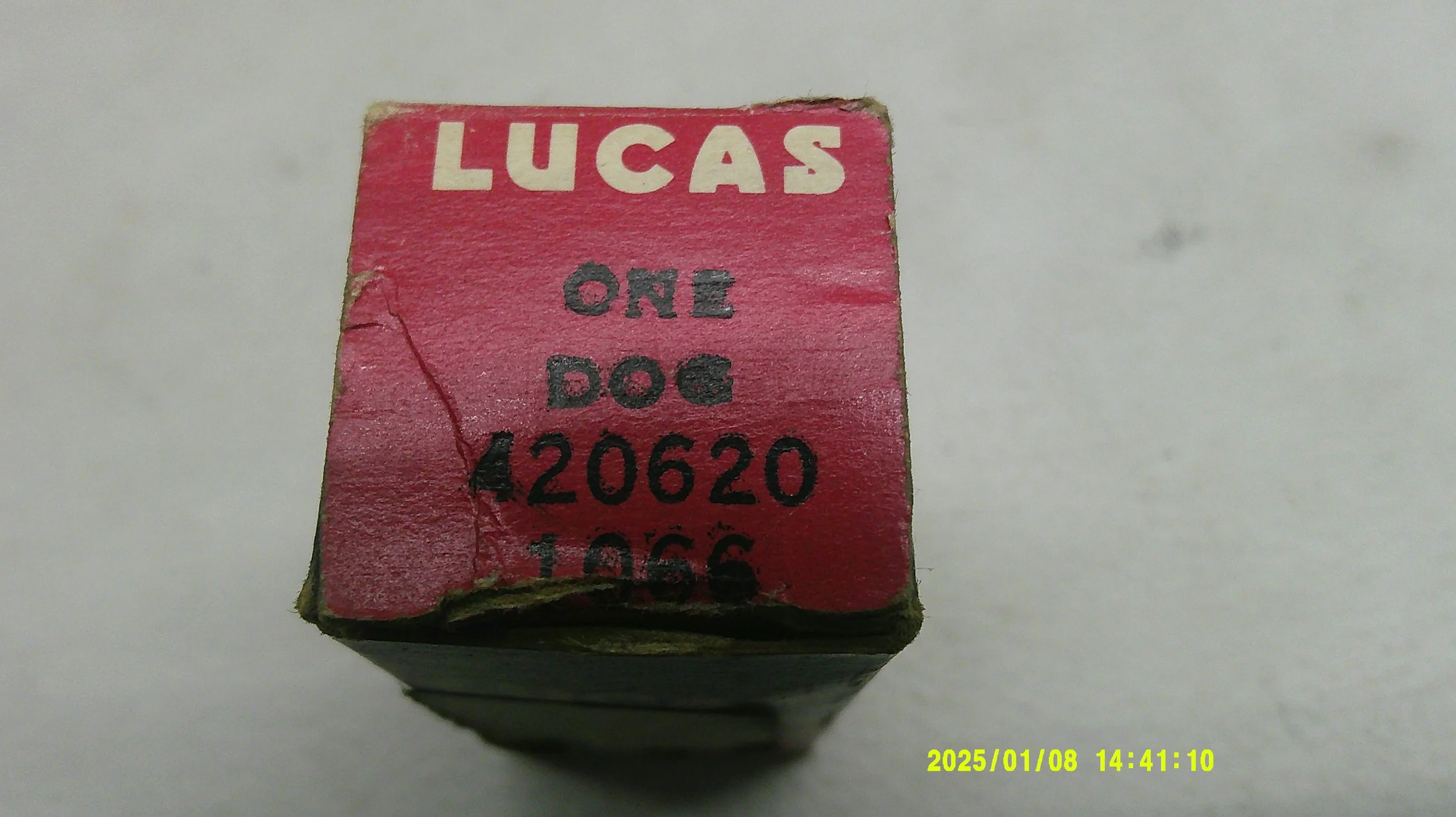 DSCF0515.JPG