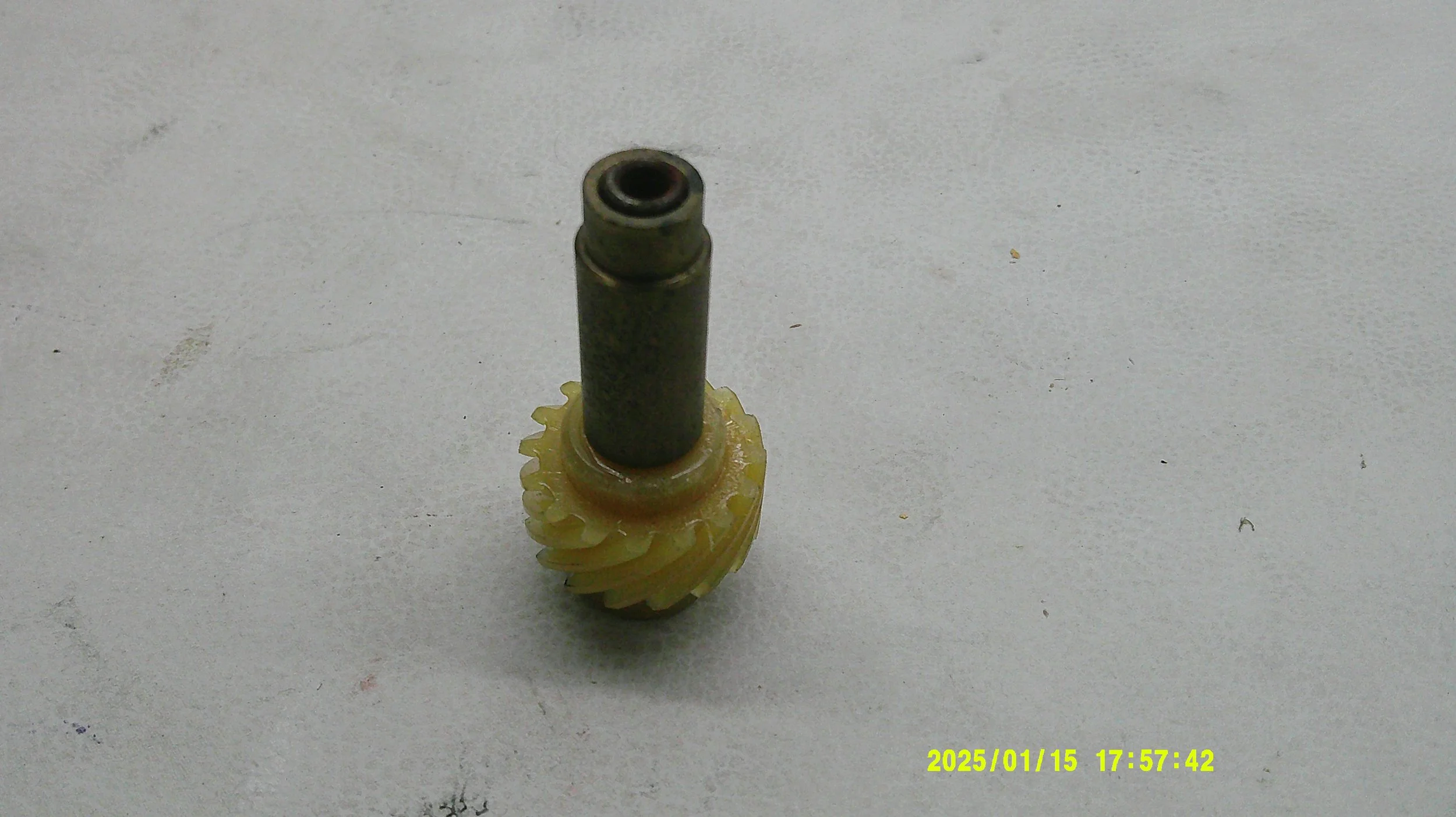DSCF0993.JPG