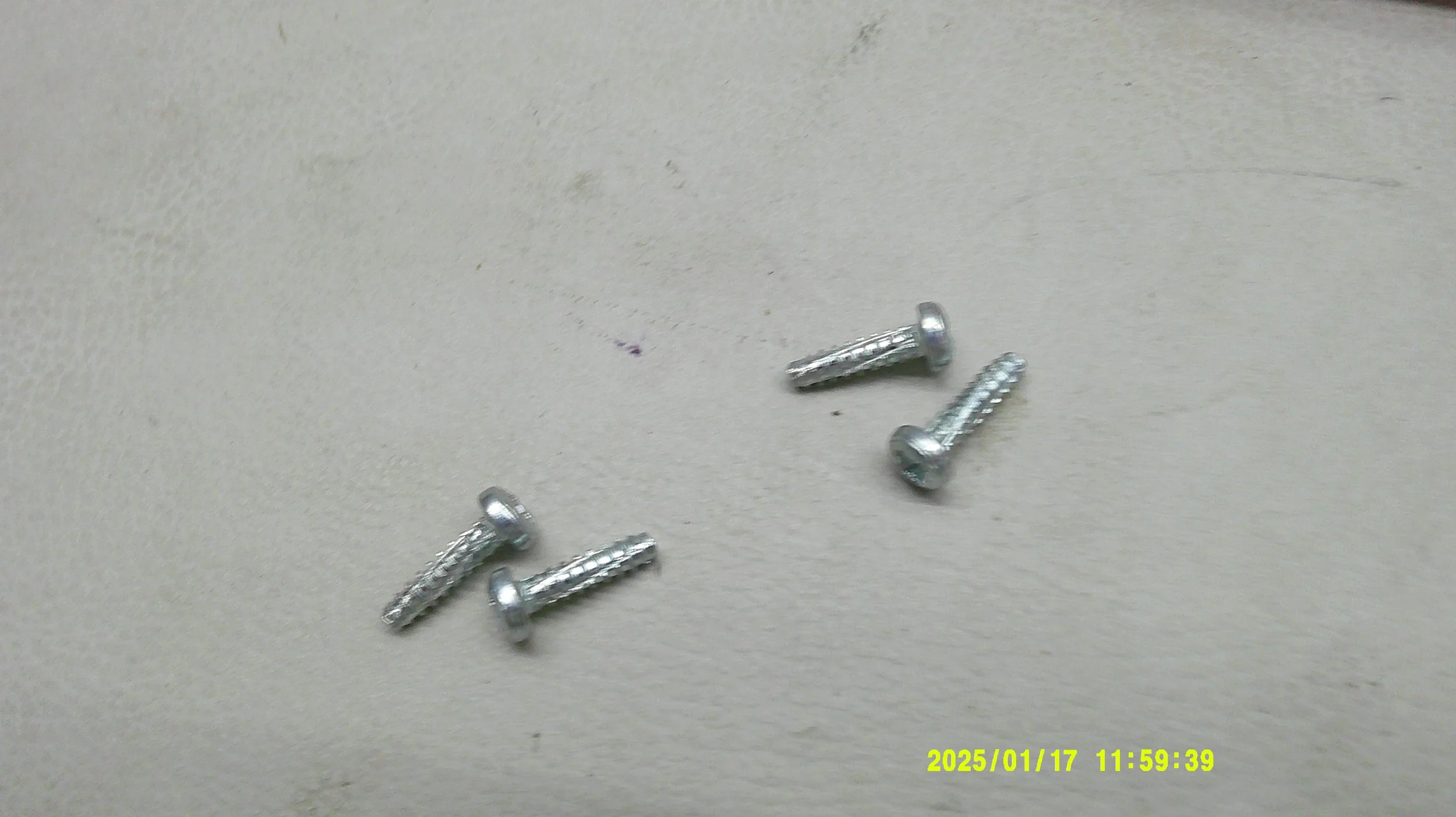 DSCF0128.JPG