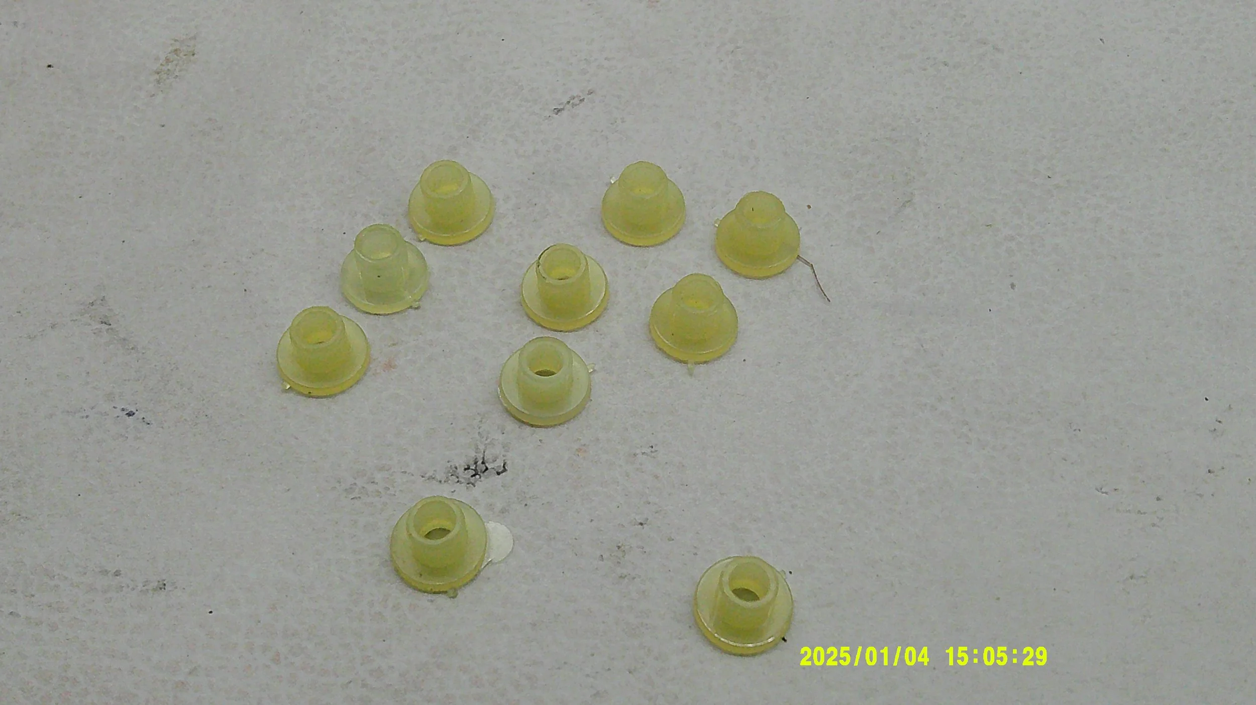 DSCF0520.JPG
