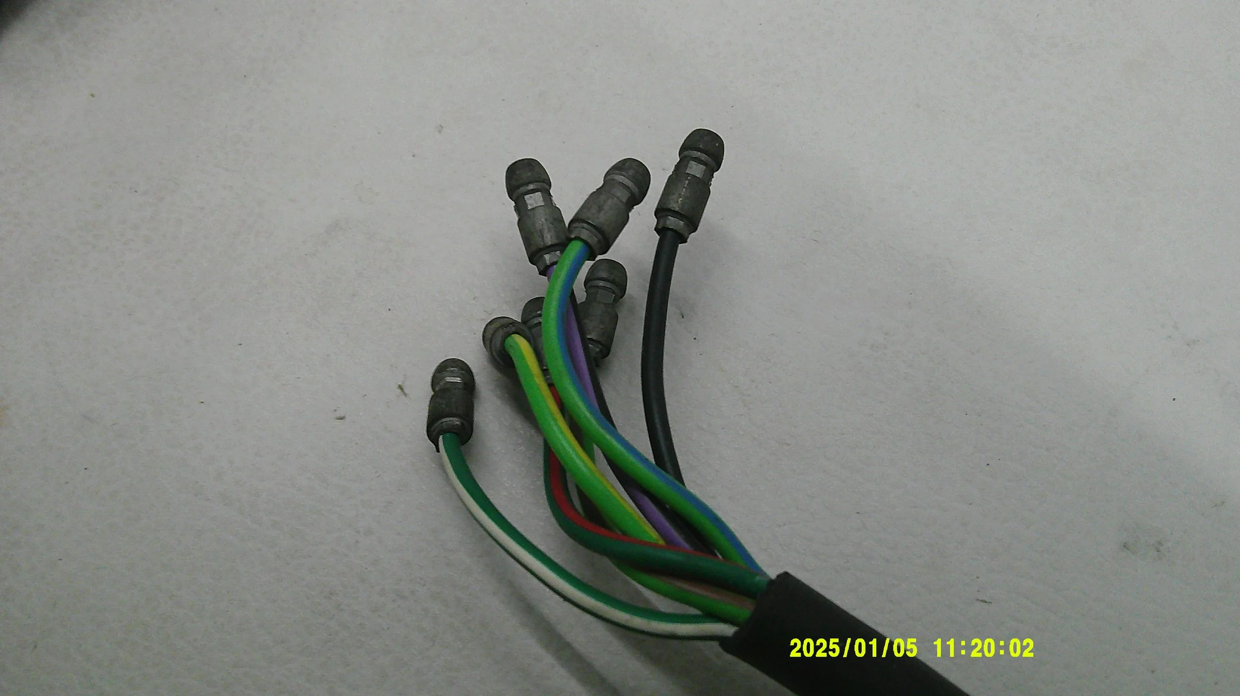 DSCF0711.JPG
