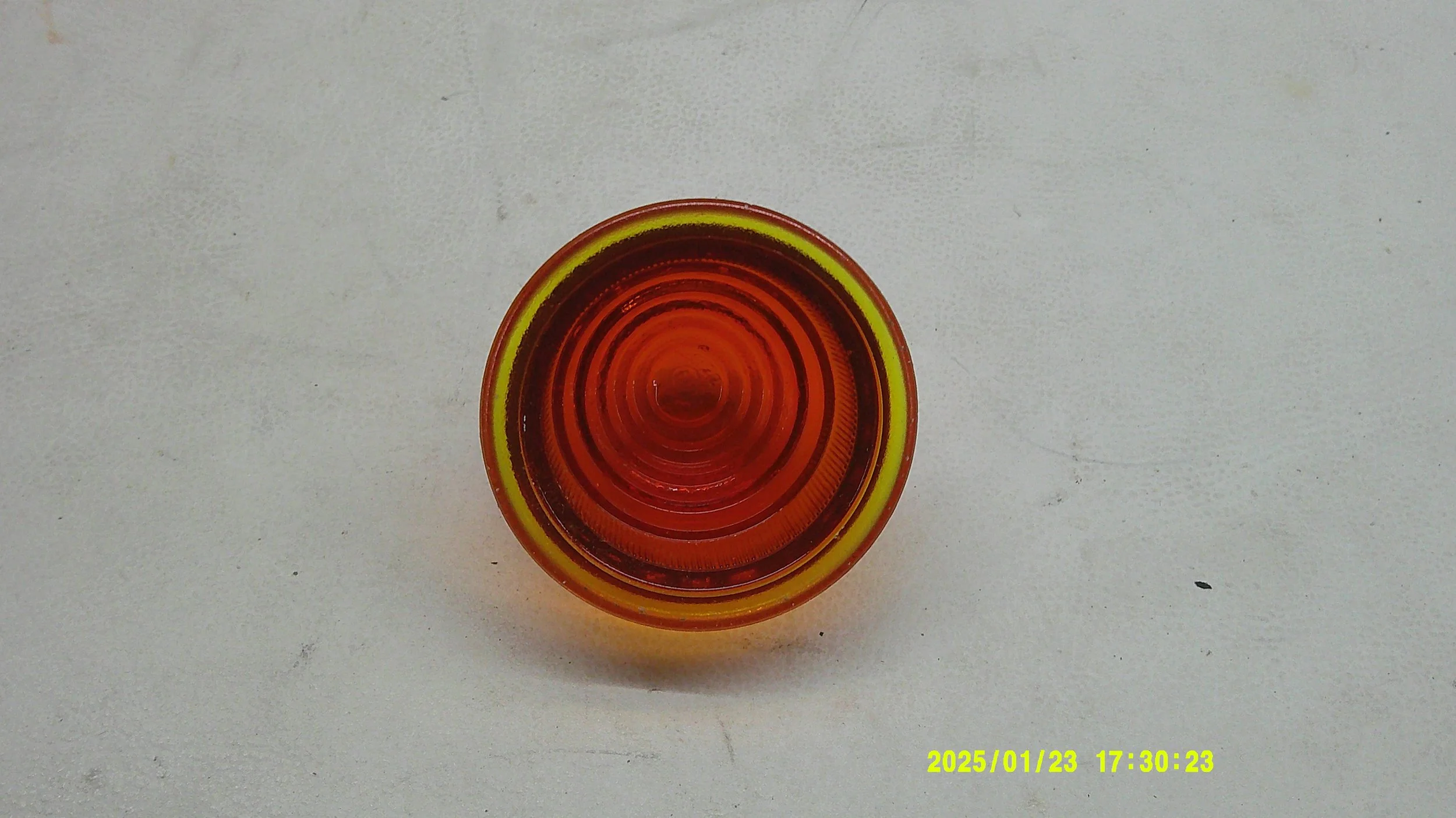 DSCF0553.JPG