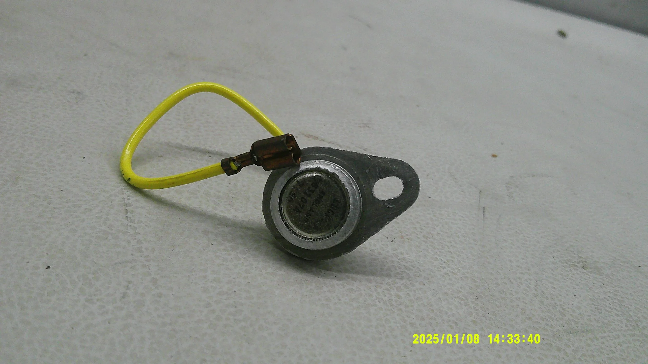 DSCF0491.JPG