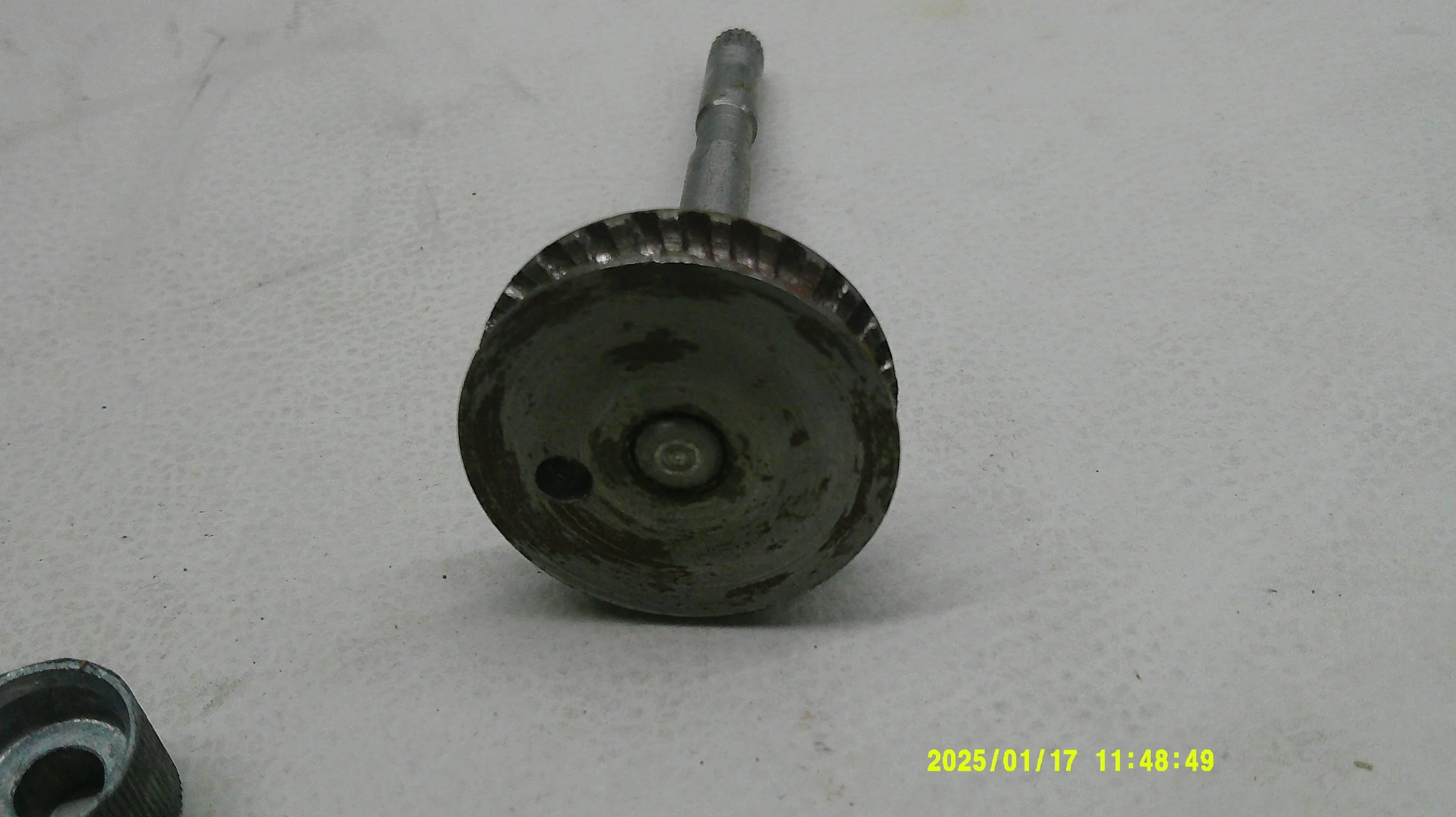 DSCF0090.JPG
