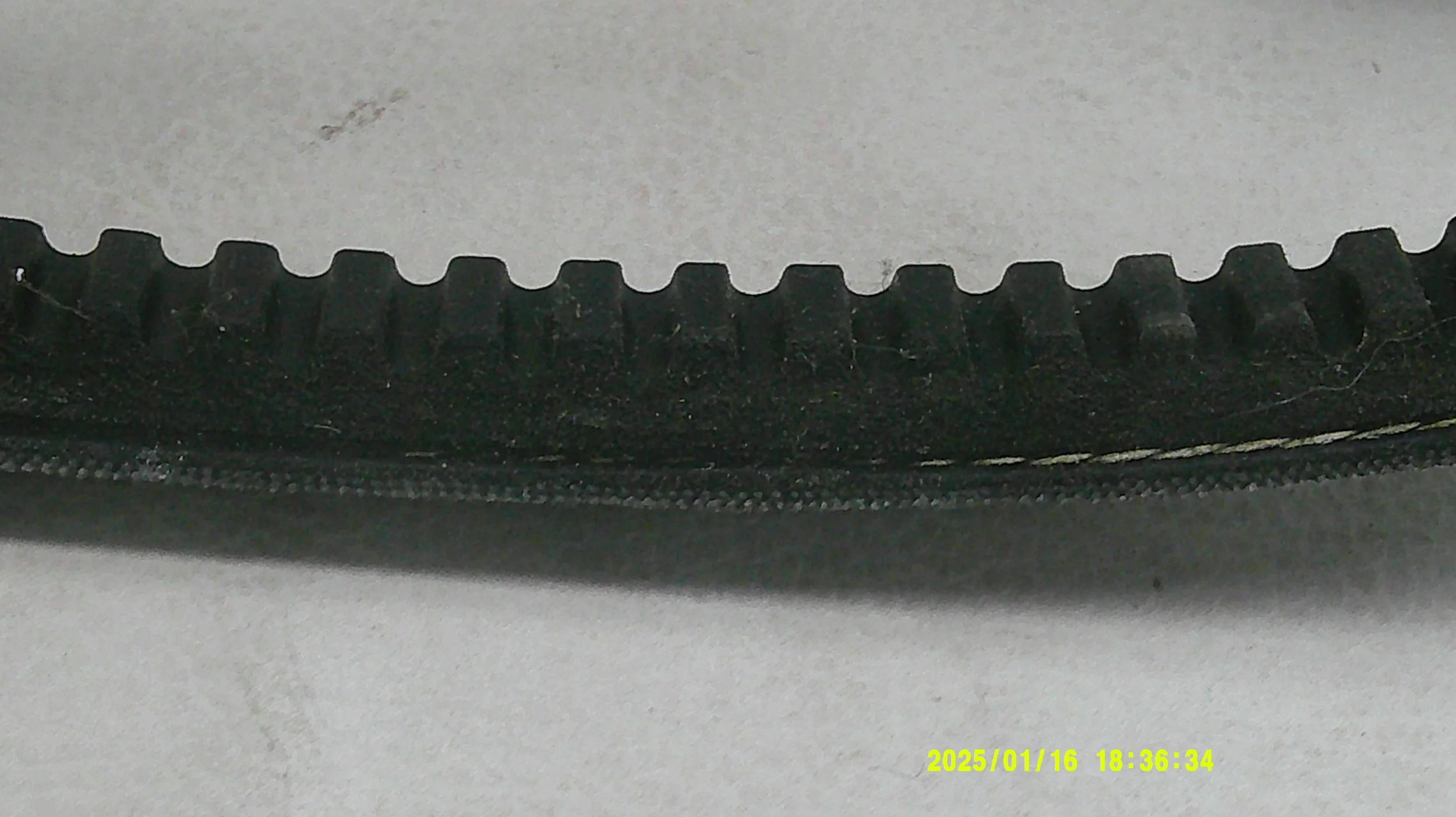 DSCF0026.JPG