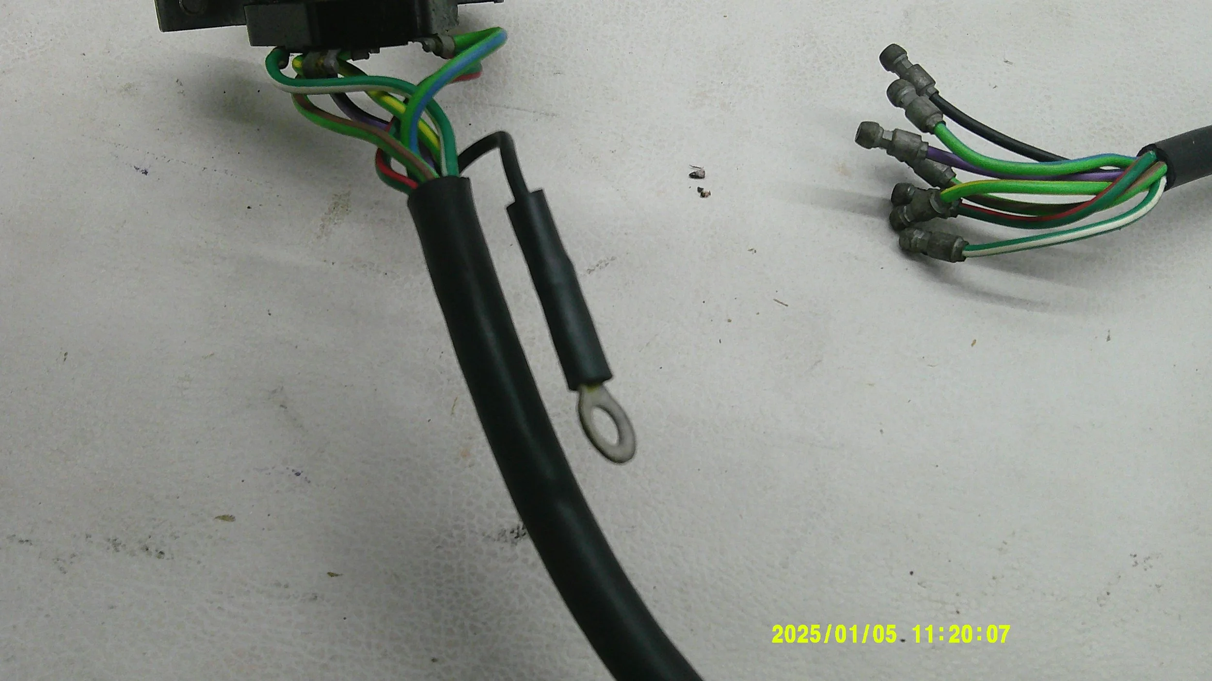 DSCF0712.JPG