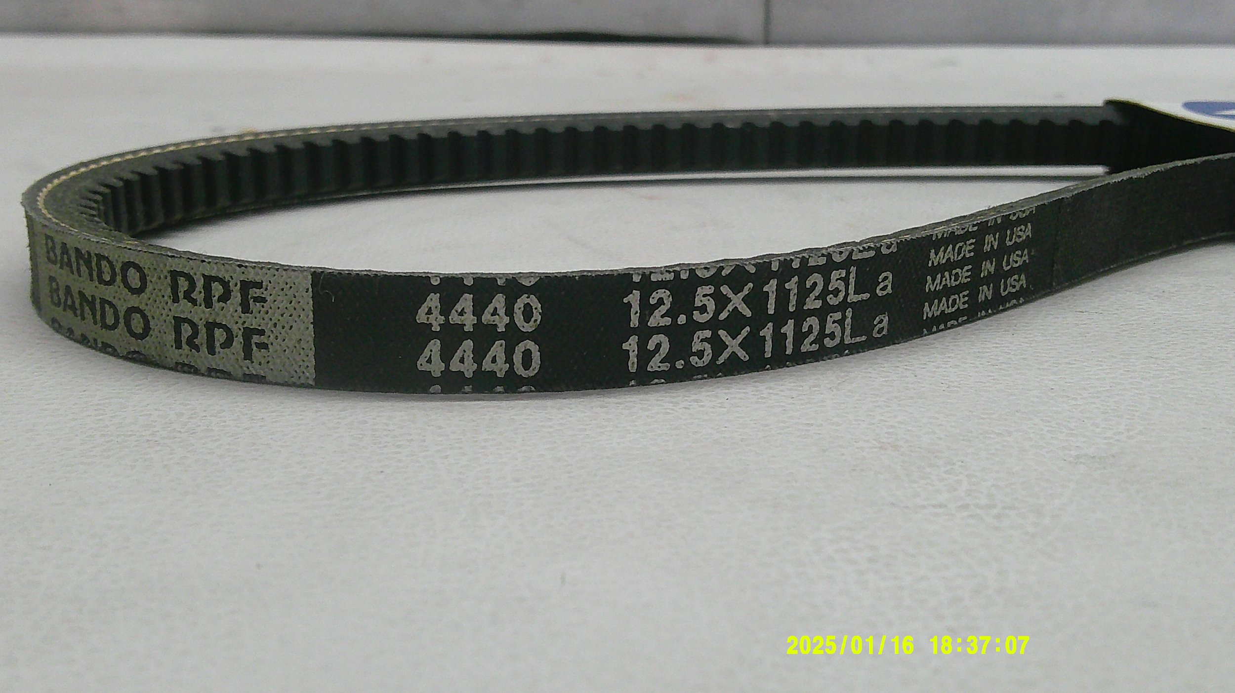 DSCF0028.JPG