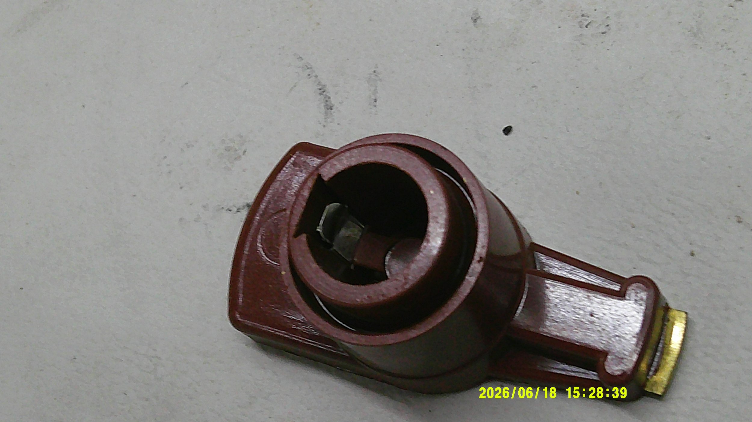 DSCF0186.JPG