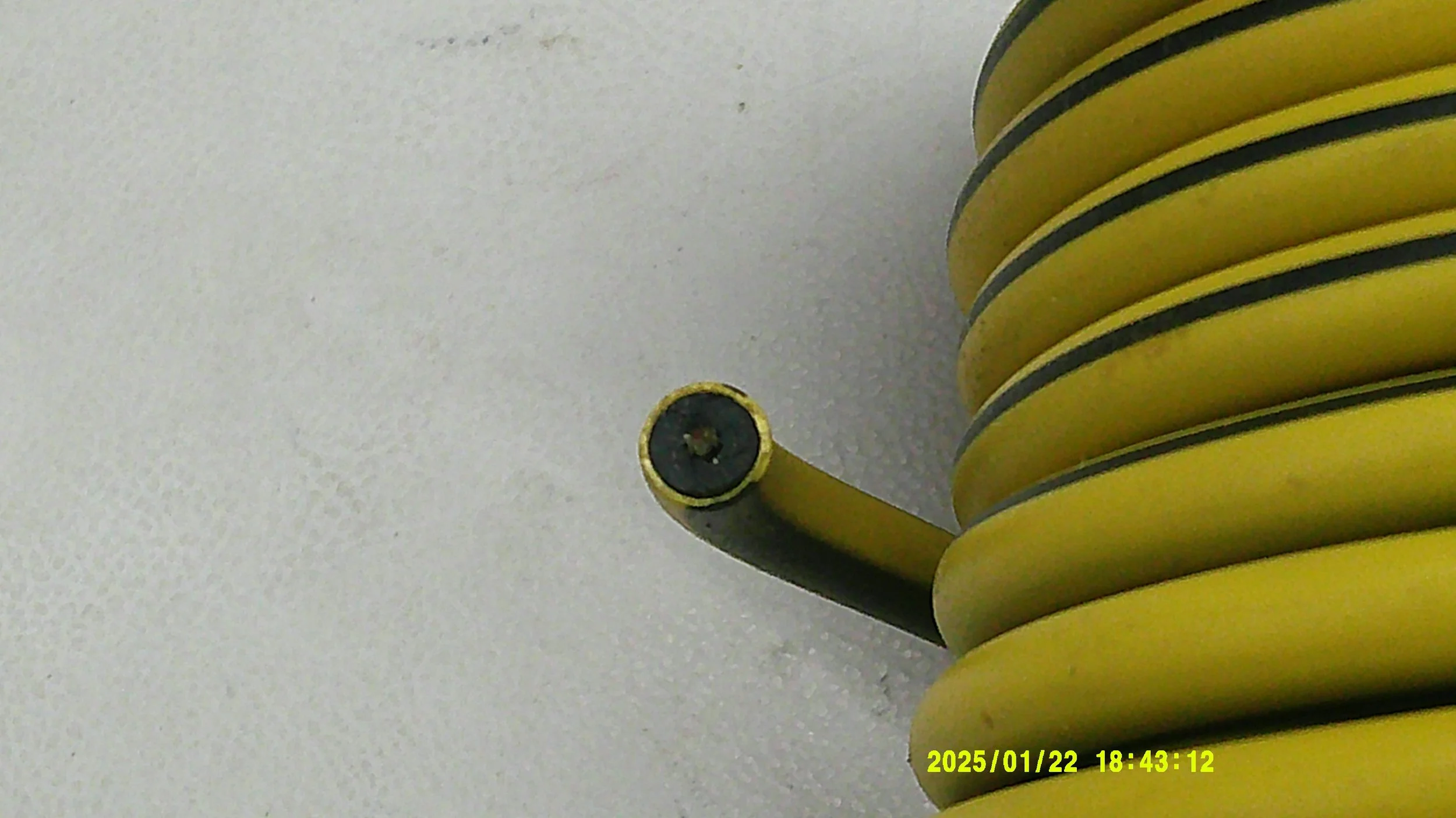 DSCF0469.JPG