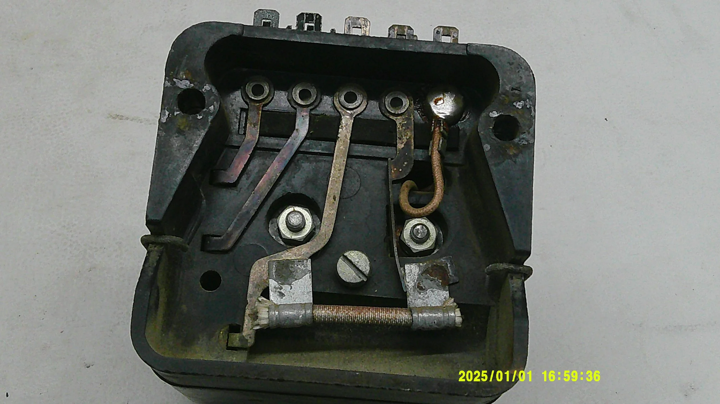 DSCF0913.JPG