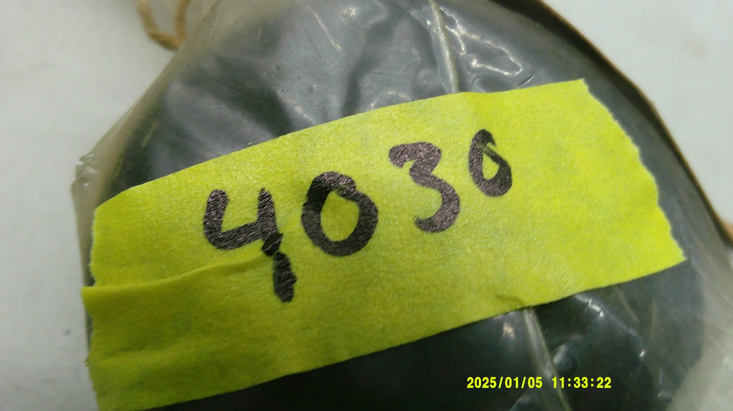 DSCF0732.JPG