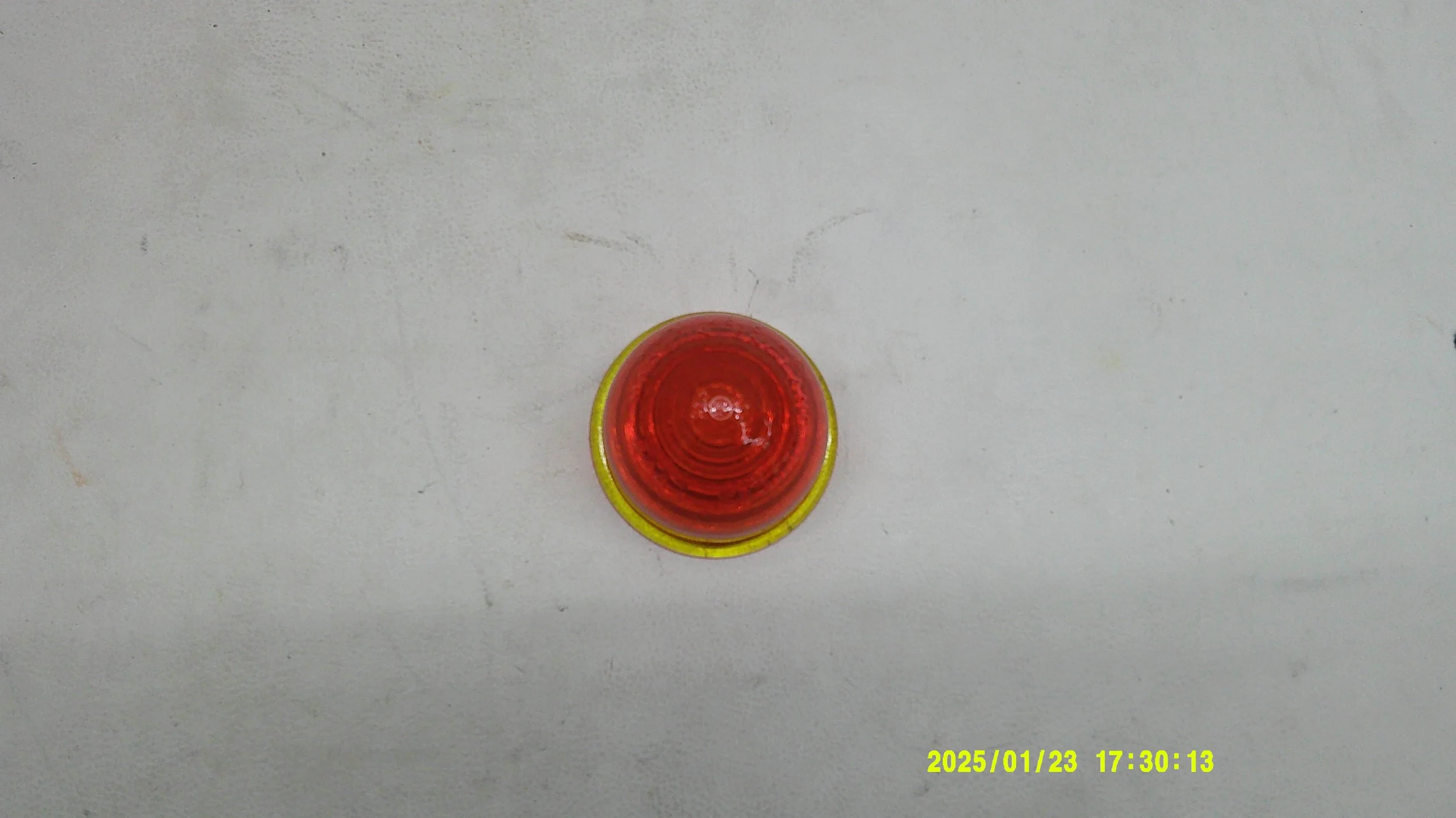 DSCF0551.JPG