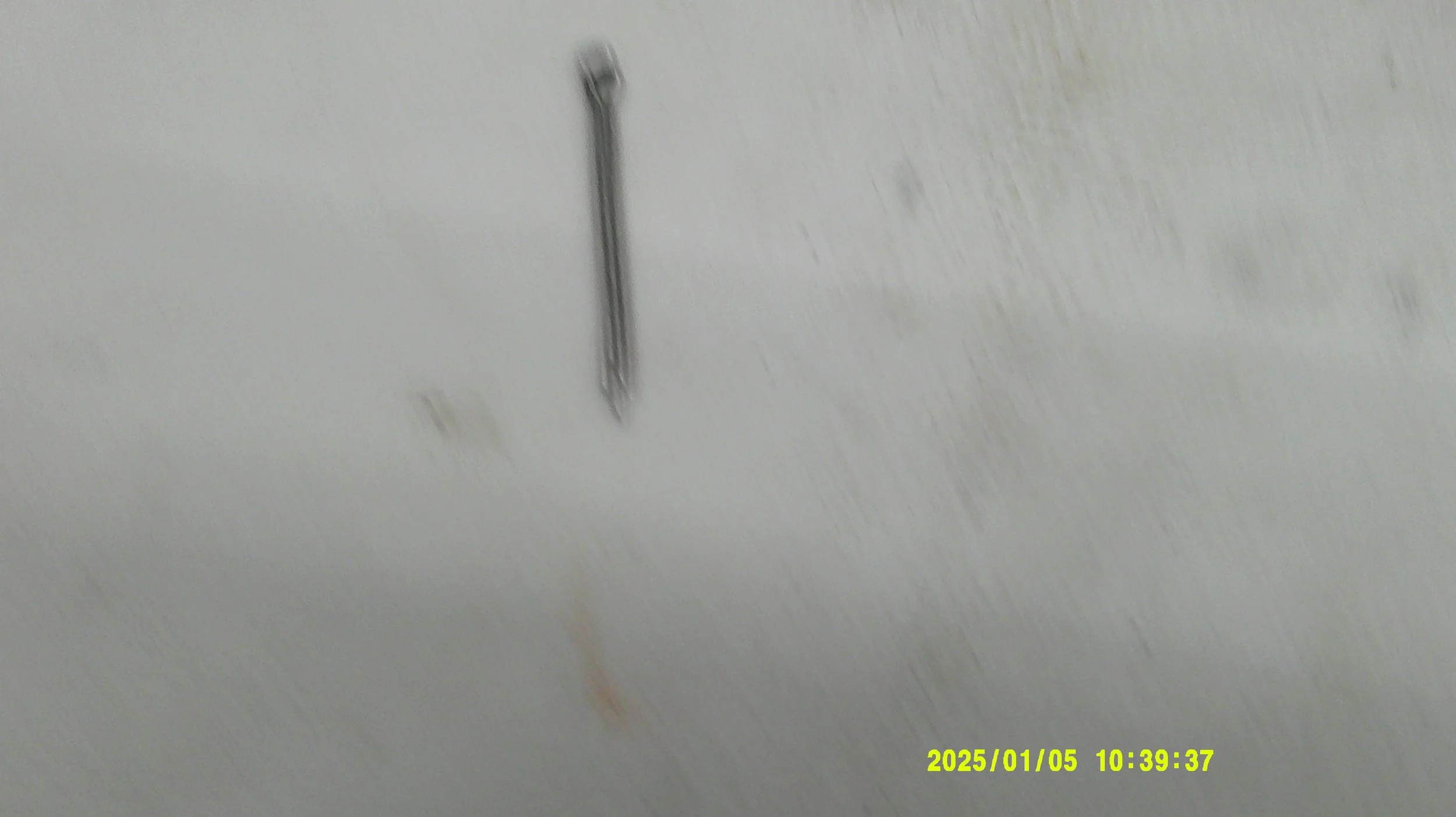 DSCF0665.JPG