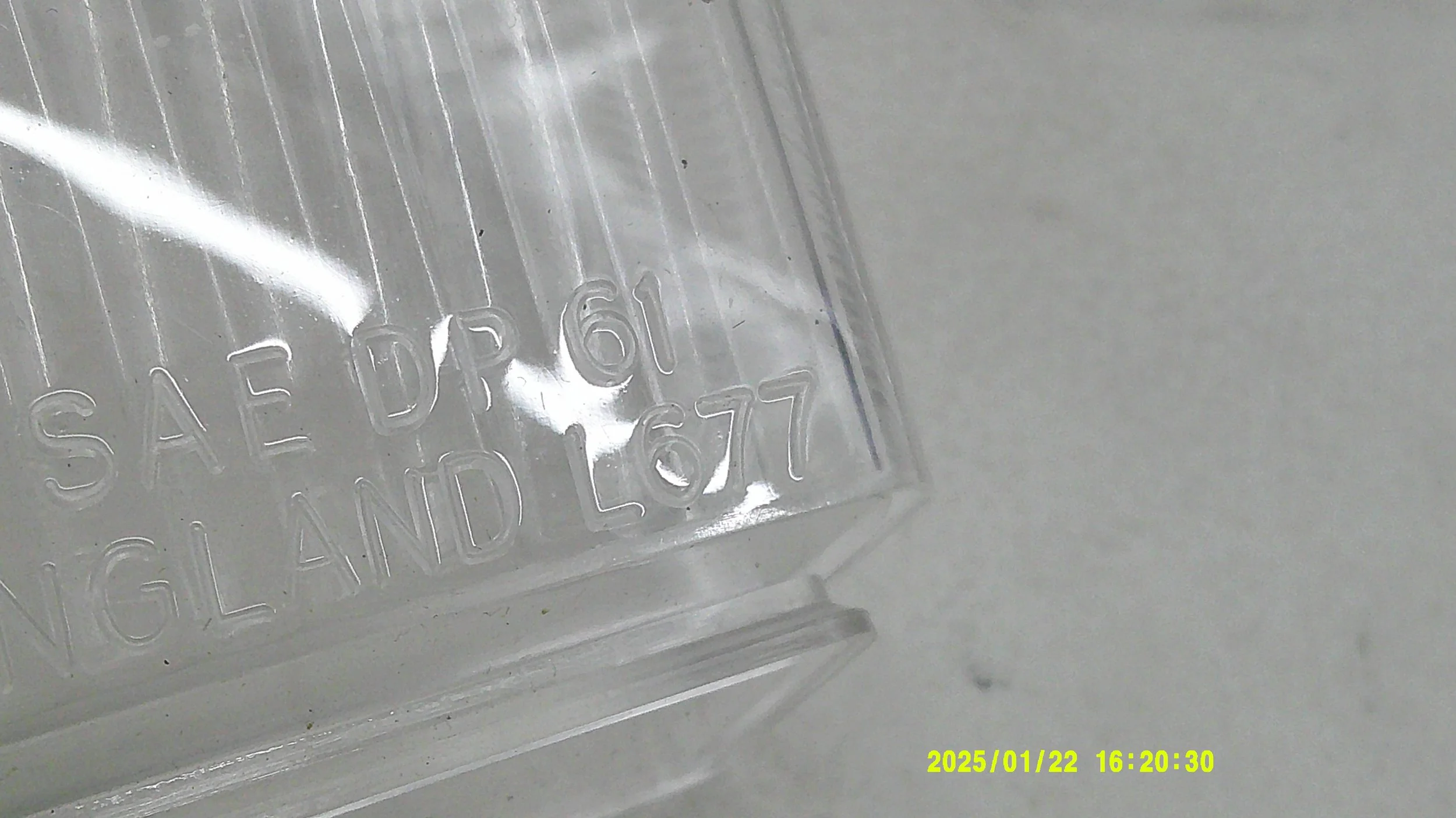DSCF0331.JPG