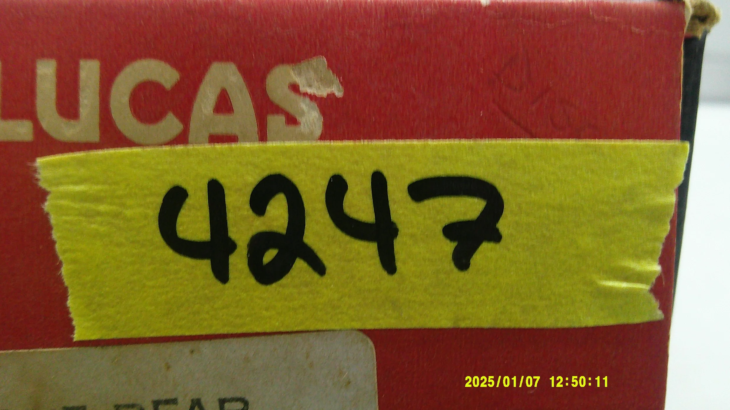 DSCF0203.JPG