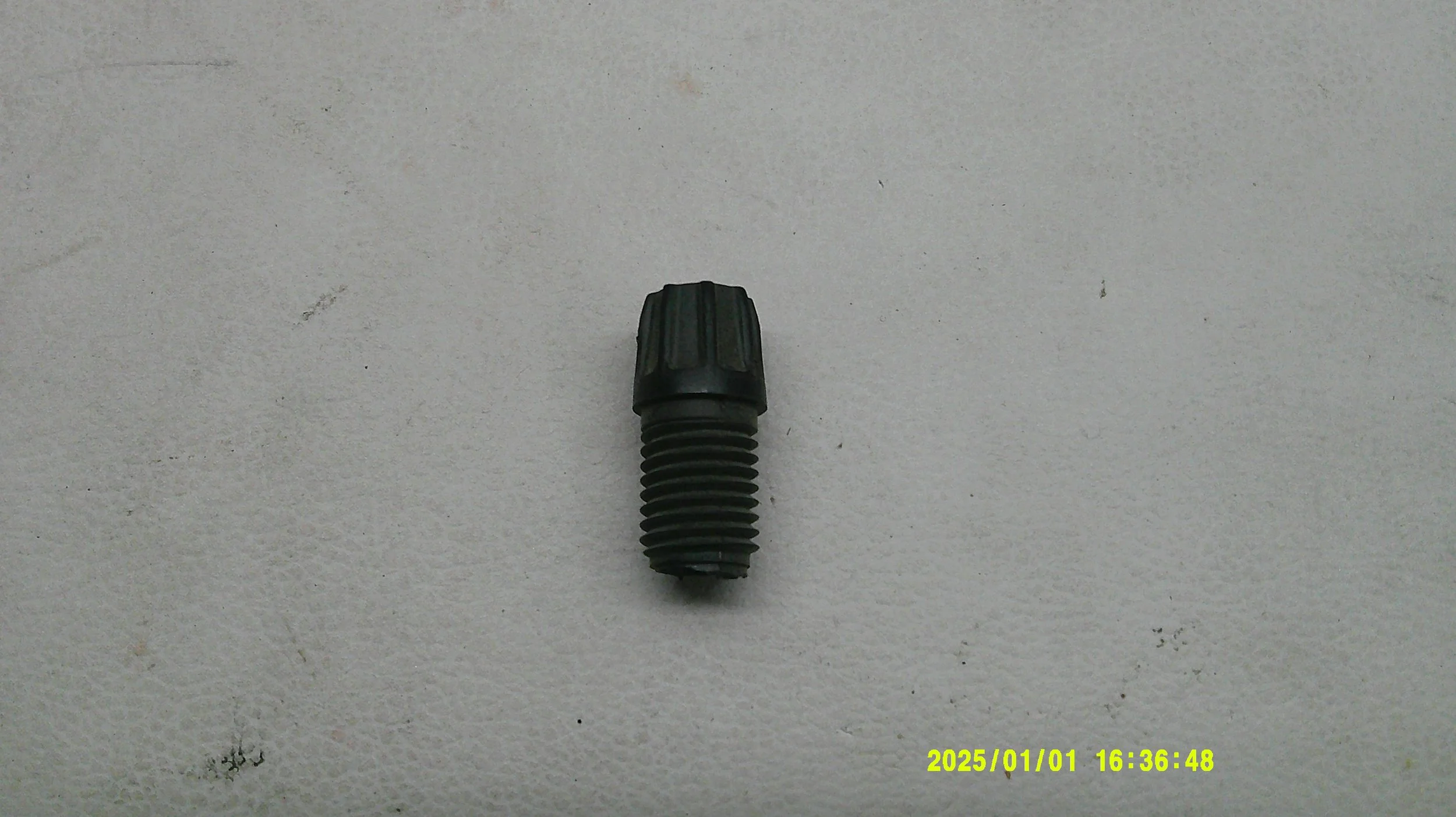 DSCF0898.JPG