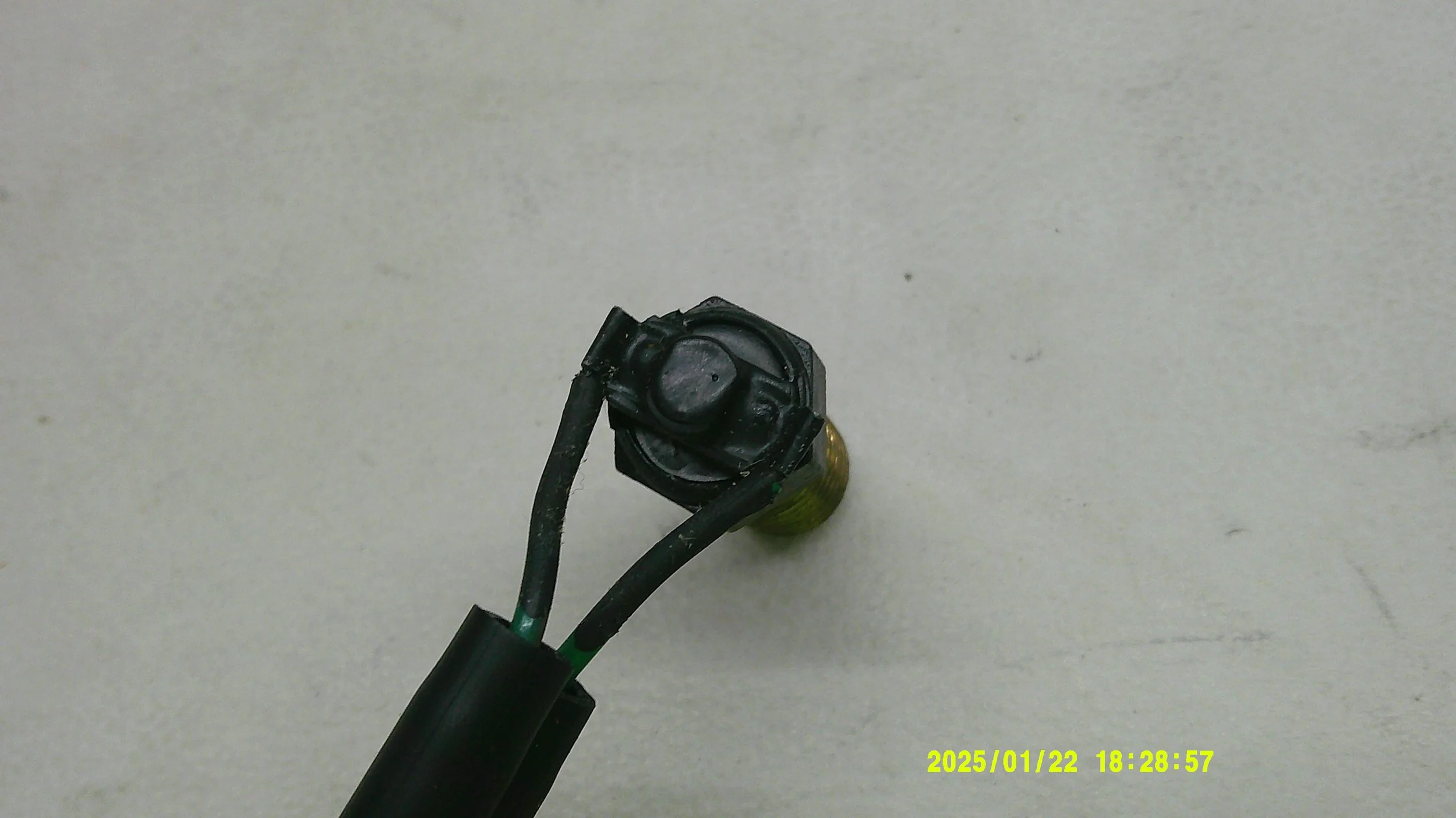 DSCF0412.JPG