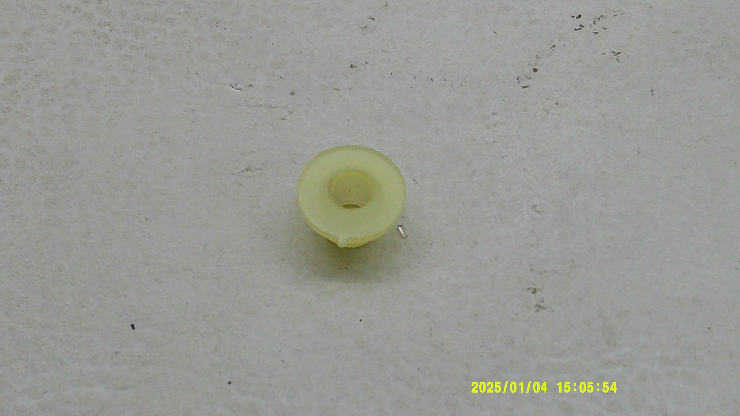 DSCF0522.JPG