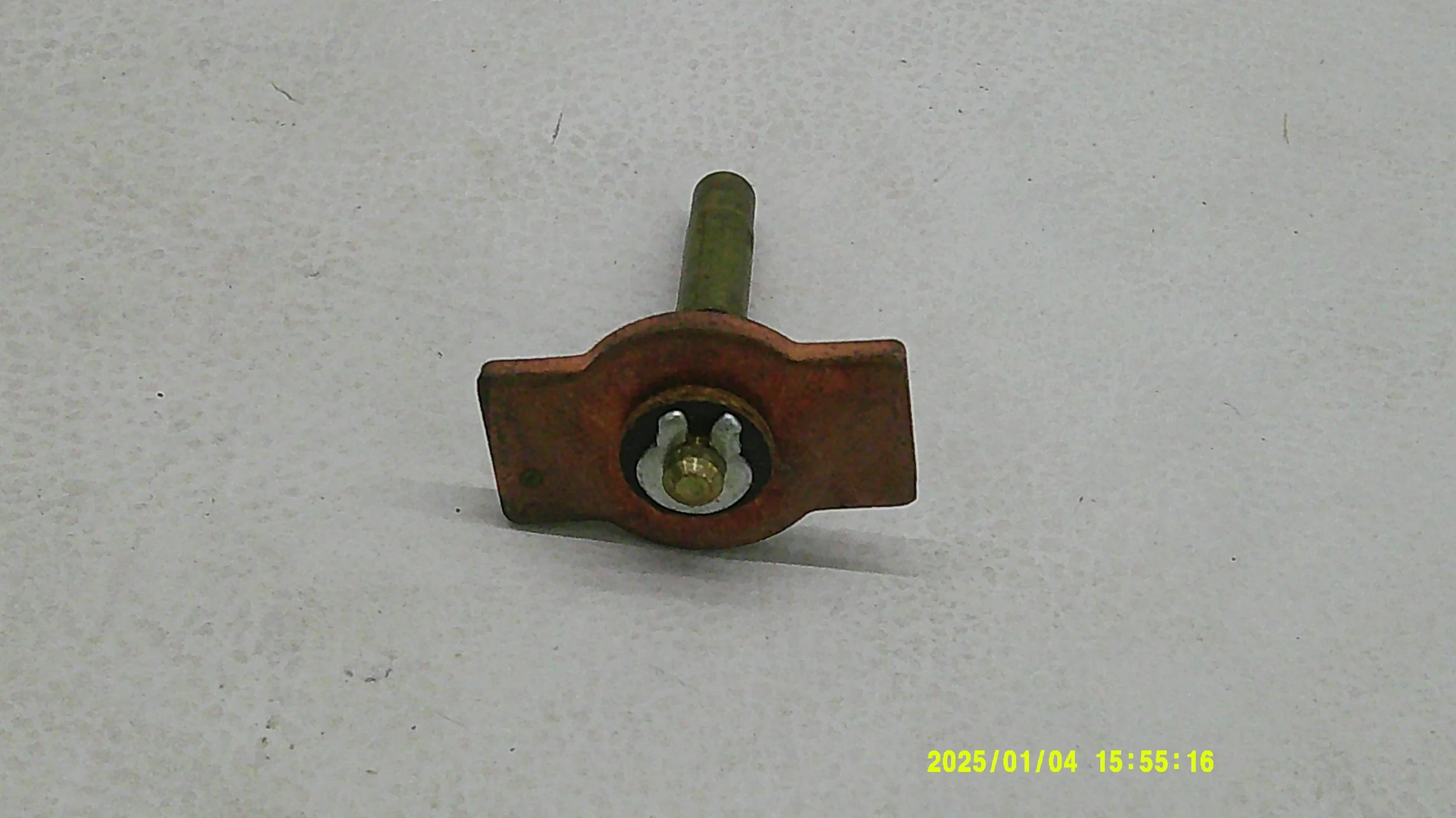 DSCF0567.JPG